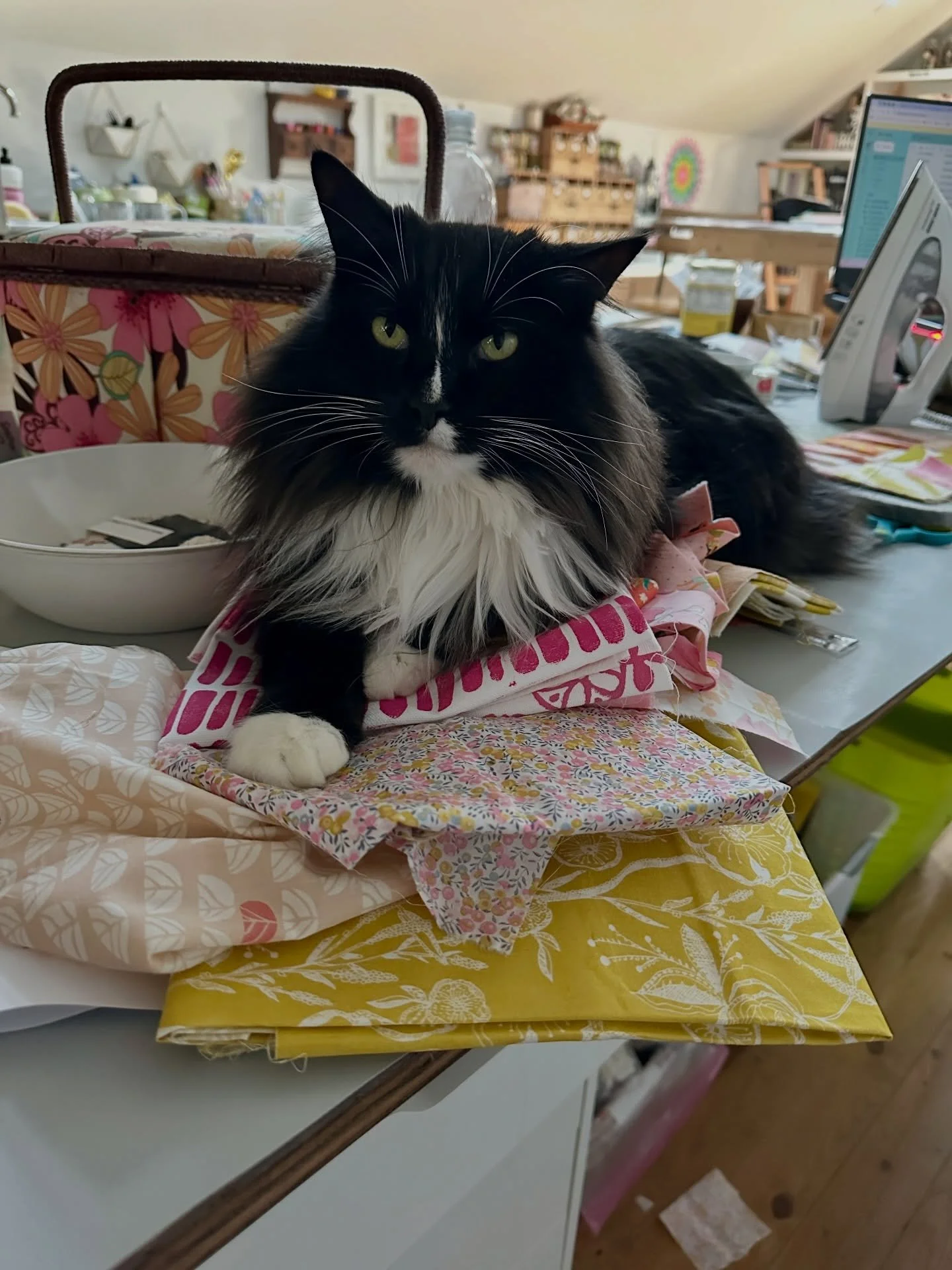 Dude. Can you NOT see I&rsquo;m trying to get a slow stitched quilting project done here for my next handmade journal cover? Don&rsquo;t play with me right now!

#slowstitching #kawandi #handmadejournal #textileart
