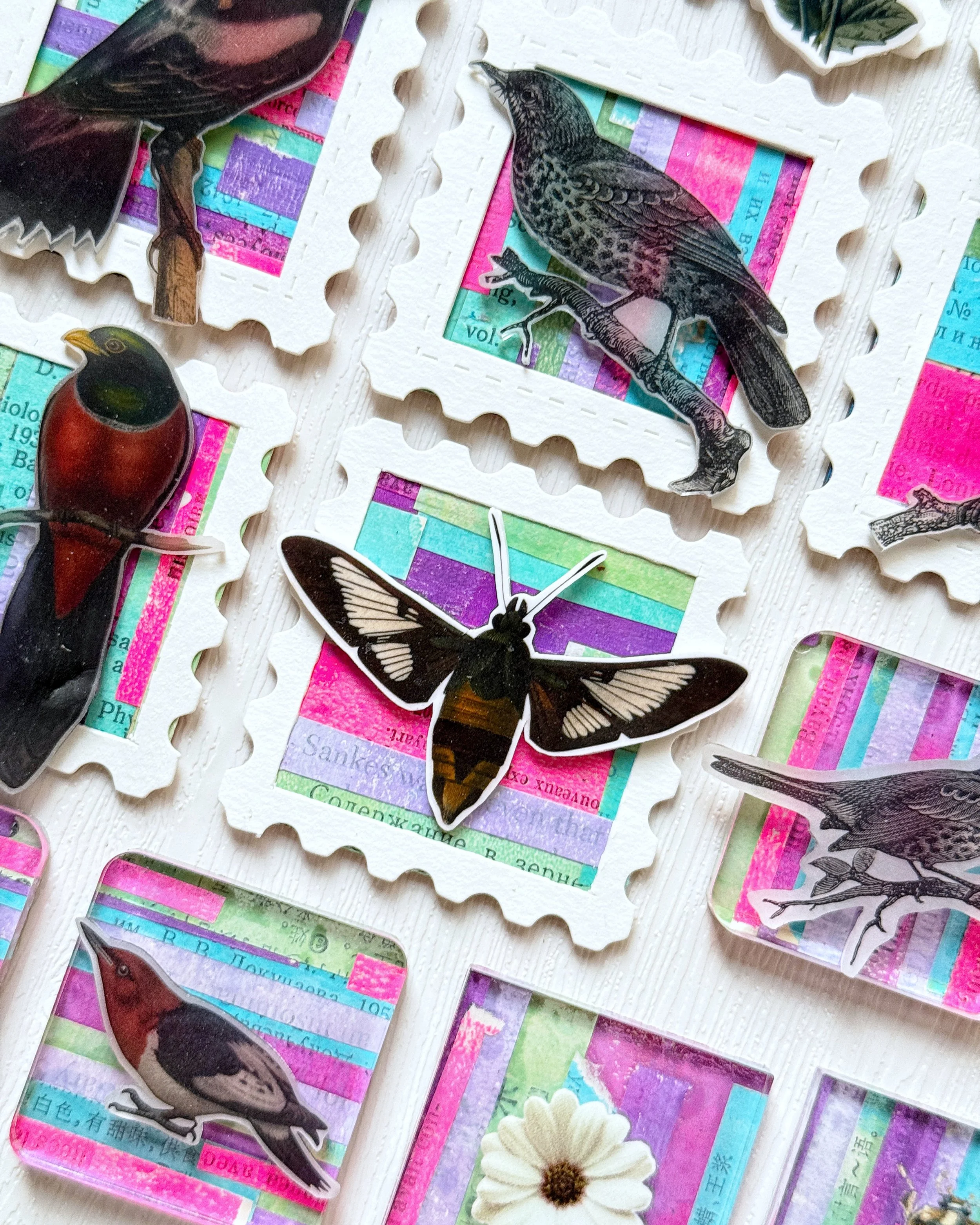 Photo 2025-8-16, 18 25 58.jpg