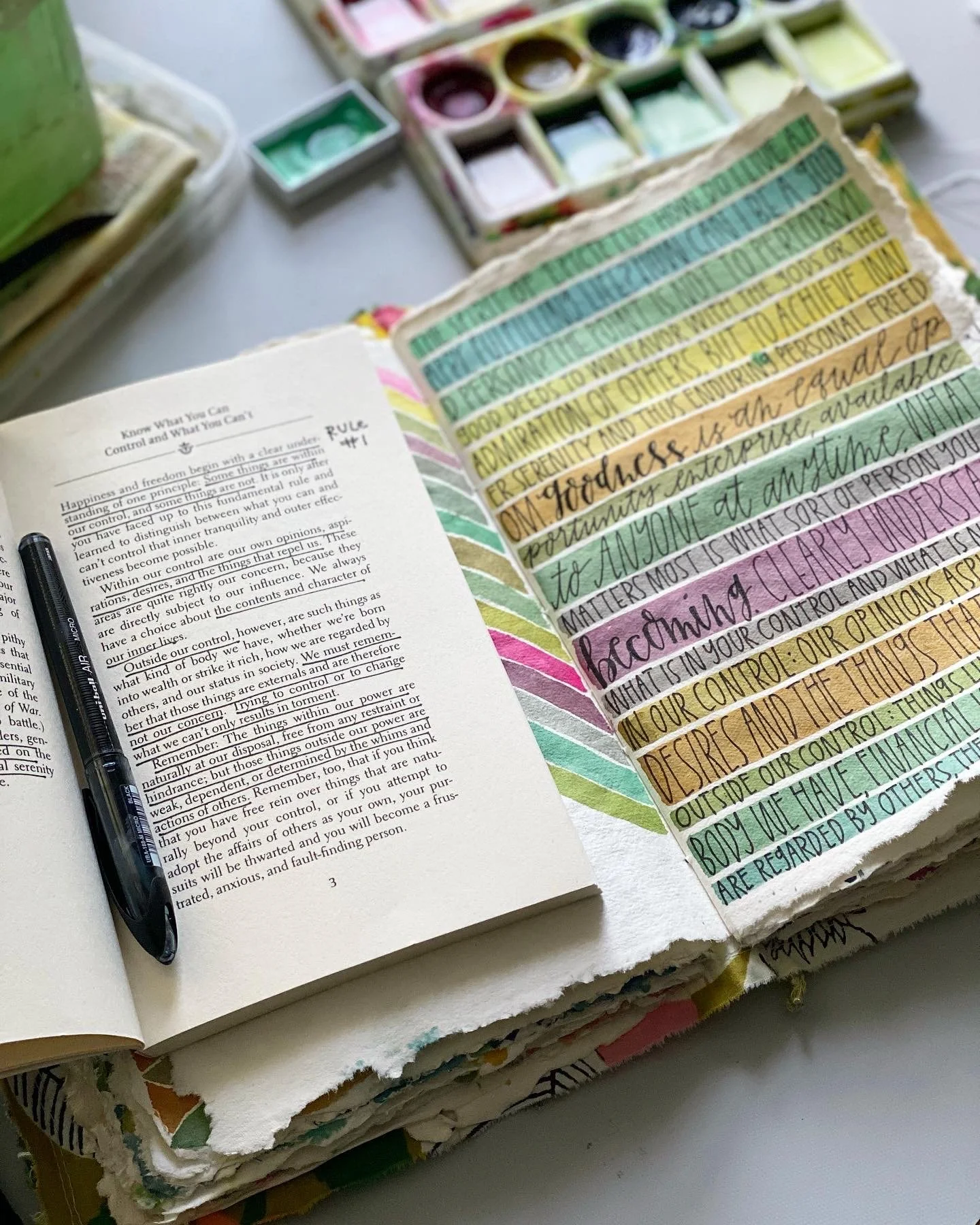 Photo Aug 06 2022, 8 00 28 AM.jpg