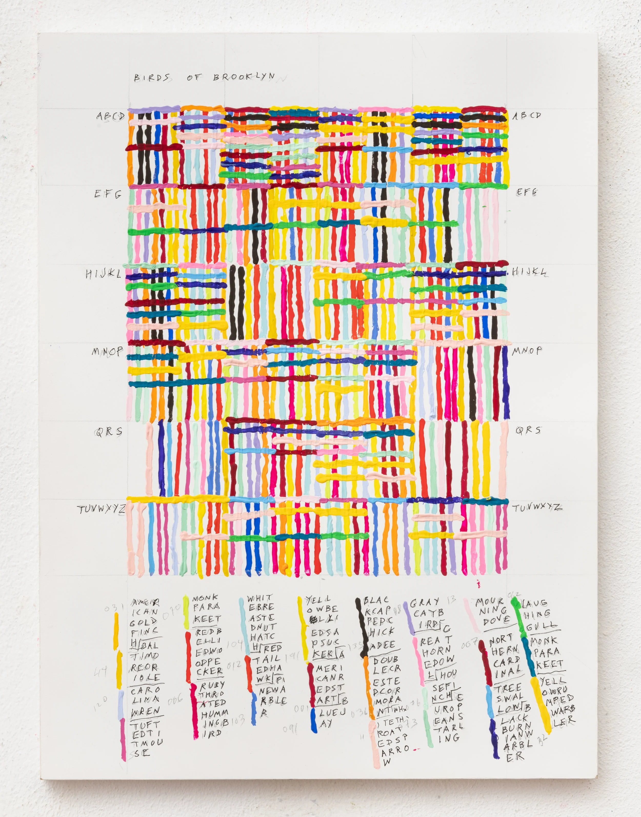 BIRDS OF BROOKLYN 2024 12 x 9 inches.jpg