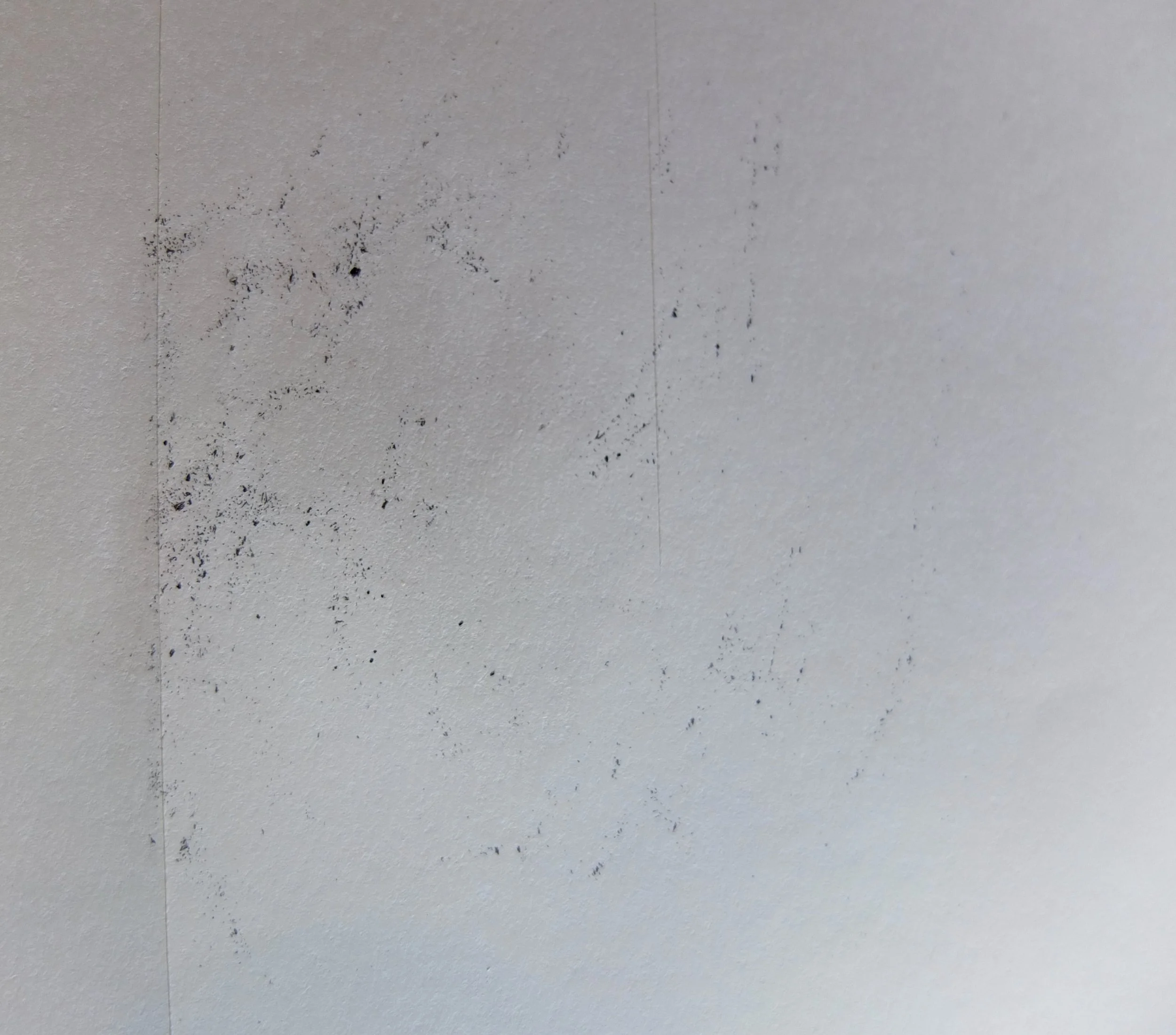 No Title | WM01-035 Detail