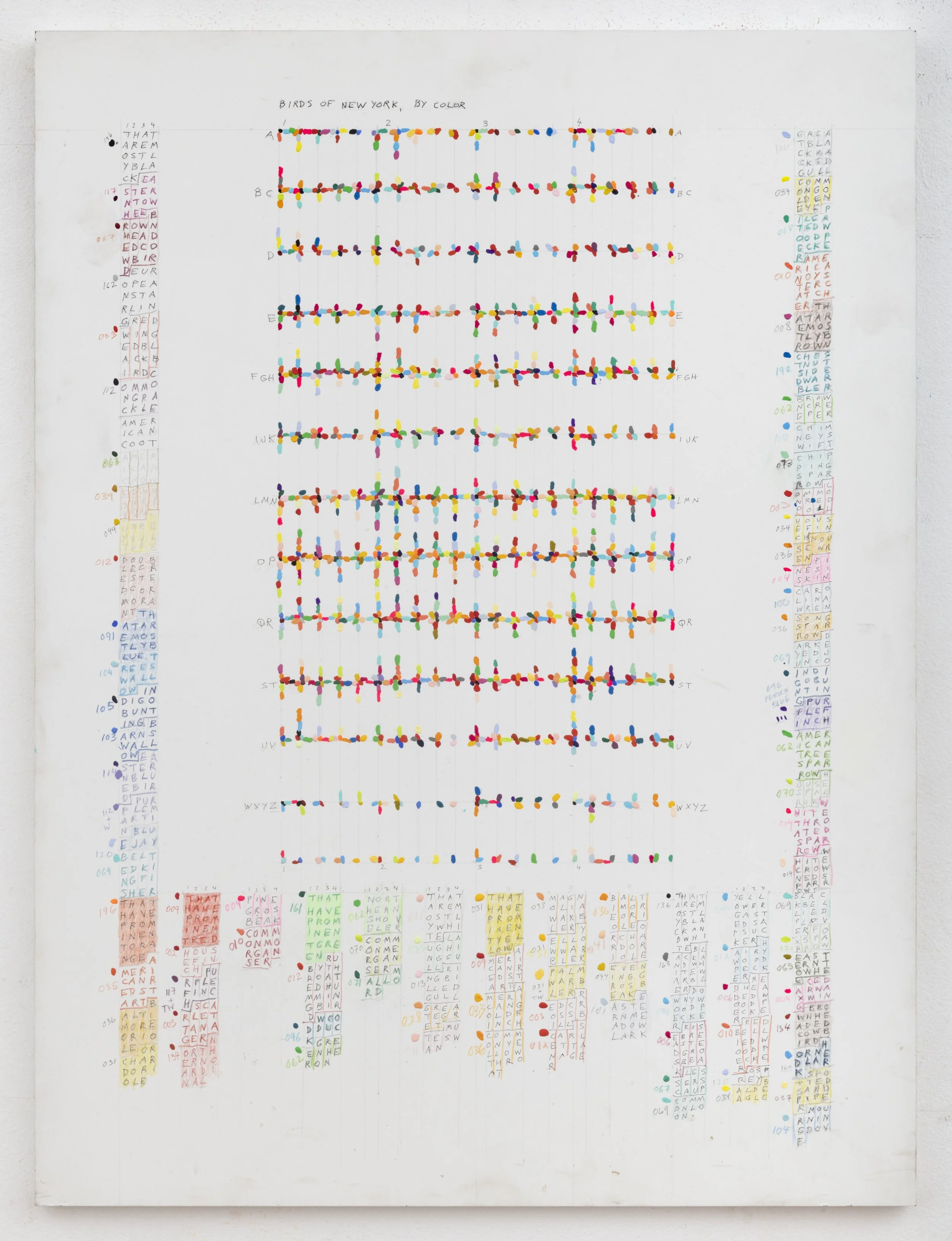 BIRDS OF NEW YORK BY COLOR Leslie Roberts 2019 24 x 18 inches