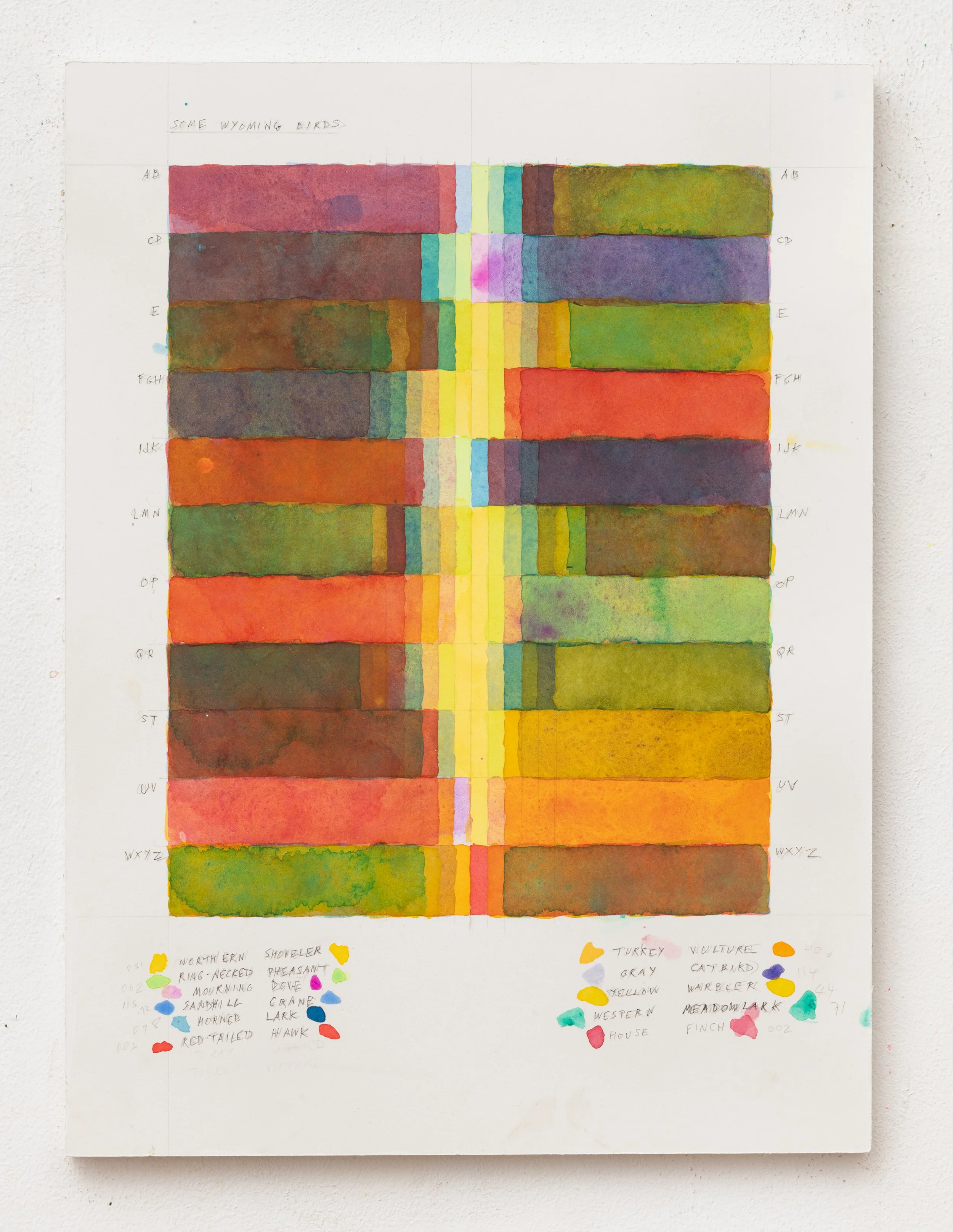 SOME WYOMING BIRDS 2023 16 x 12 inches