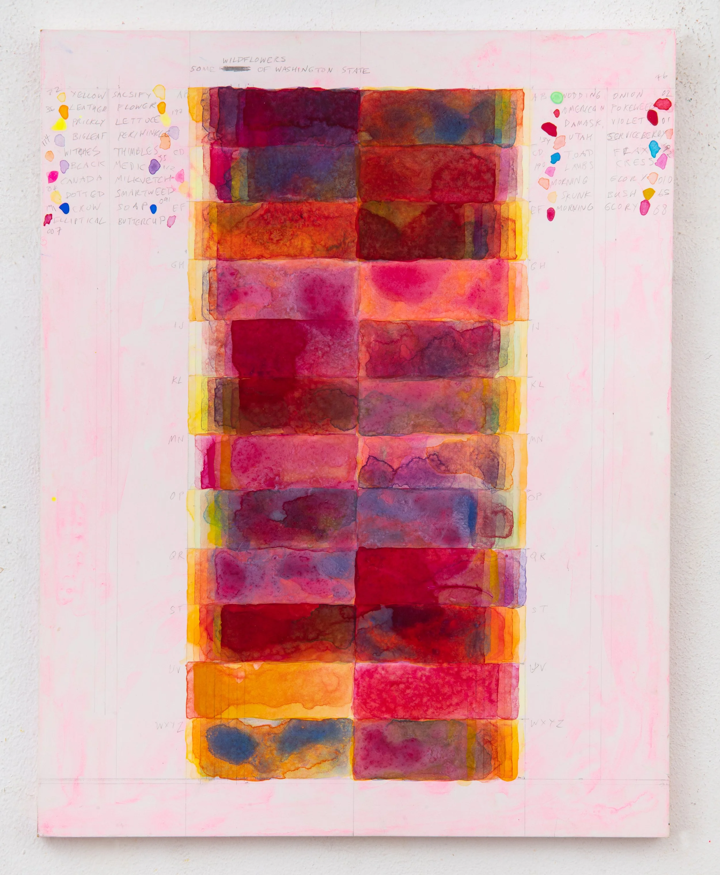 SOME WILDFLOWERS OF WASHINGTON STATE 2024 14 x 11 inches