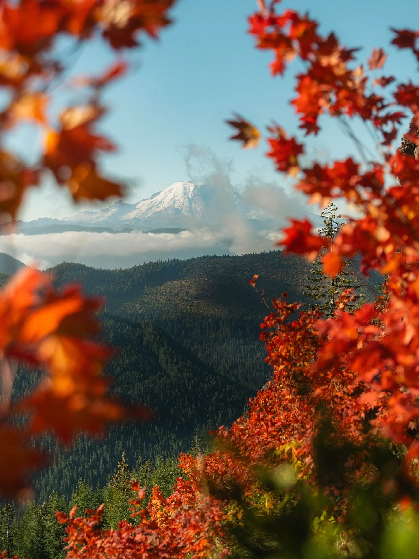 When Autumn hits Mount rainier 🍁 Autumn hit early and lasted long at the lower elevations this year, I&rsquo;m still getting fields of beautiful colors as I&rsquo;ve been driving around the PNW, but the big snow has officially hit higher elevations 