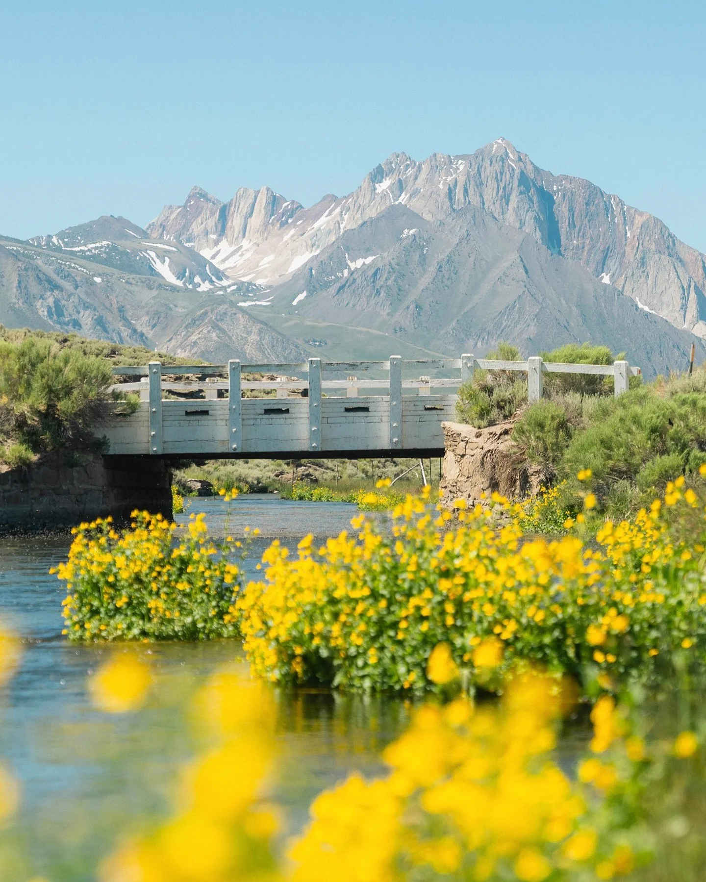 I&rsquo;m nostalgic for the sun, and spring, and summer, and swimming, and flowers, and 9pm sunsets, and bugs, and birds chirping. 

#easternsierra #california #travelphotography #roadtrip #hwy395