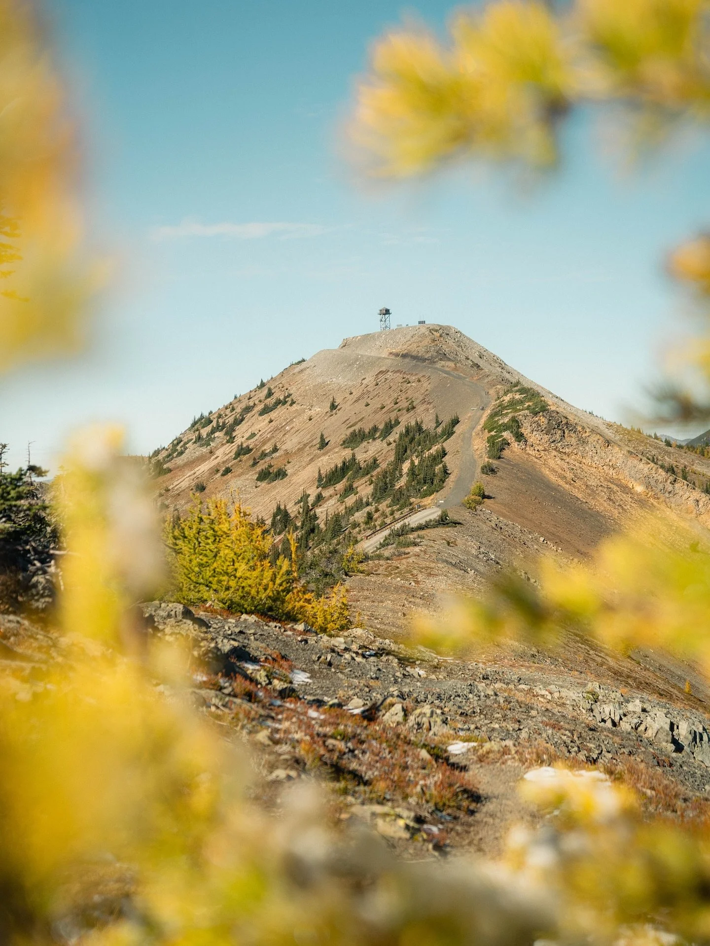 Oh, the larches! Always a magical thing to be around. Every time I think, oh maybe not this year, I get sucked into the beauty of these golden trees. I think the best surprise was wandering across so many of them as I entered into Oregon this year to