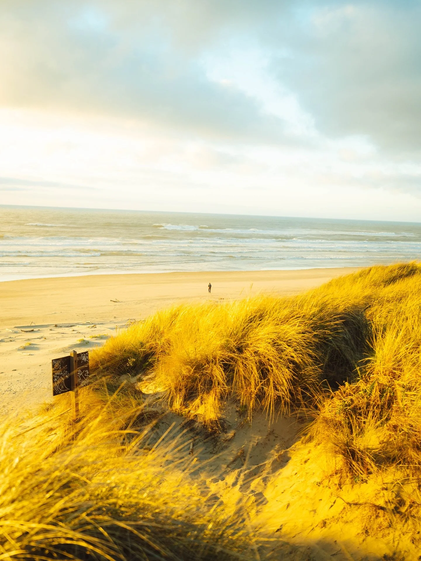 Sunset on the dunes in Oregon&hellip;it was cold and windy but when the skies are mostly clear, you get your butt into gear and go to the beach and watch the sunset. I don&rsquo;t make the rules I just follow them. 

#oregoncoast #sunsetvibes #nomadl
