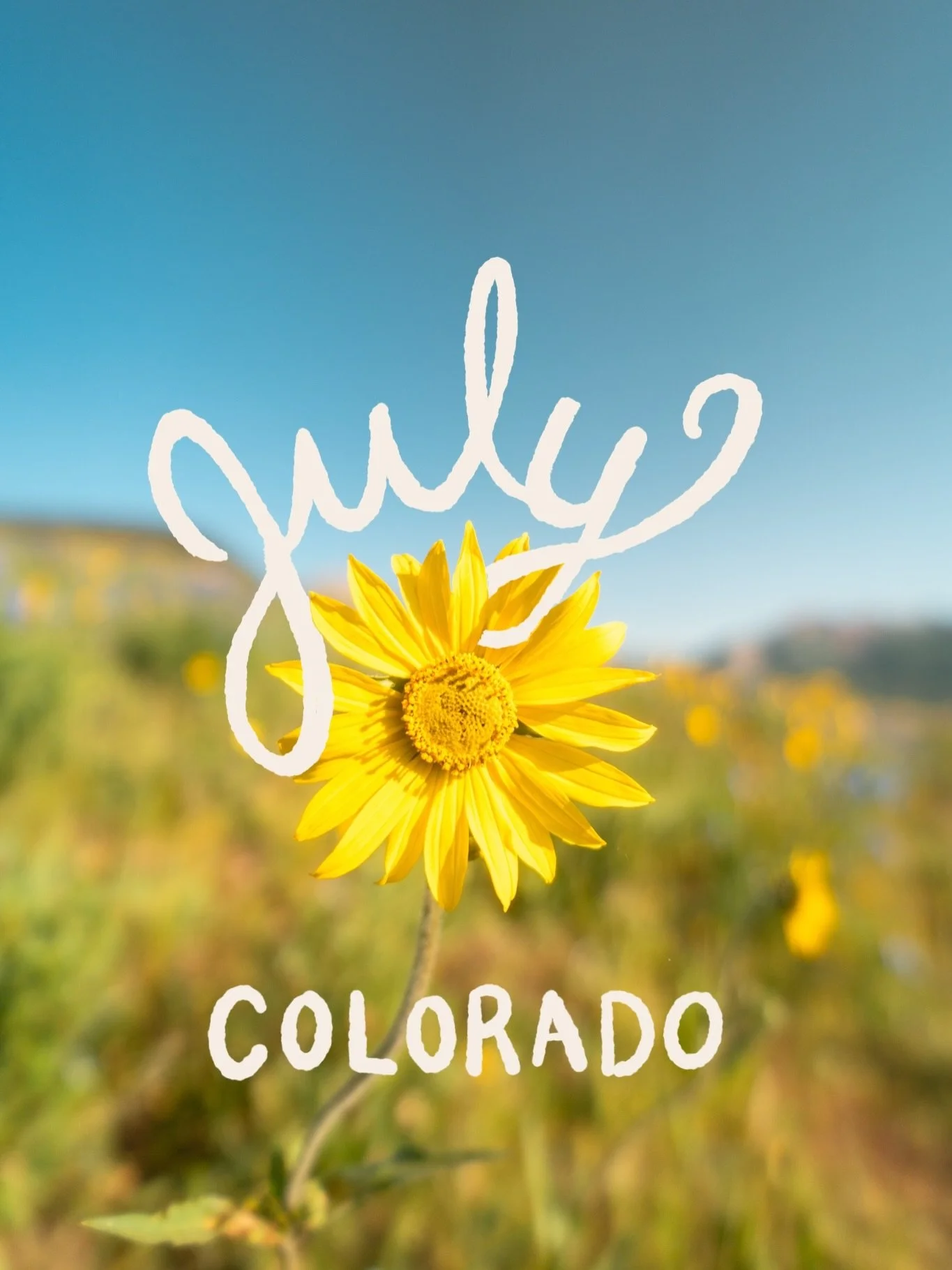 July at high altitude, roaming around the San Juan&rsquo;s and the wildflower blooms, spending time with friends in the mountains. Always an amazing time out in Colorado 🩵
#coloradocamping #nomadlife #offroadi̇ng #backpackingviews #overlanding