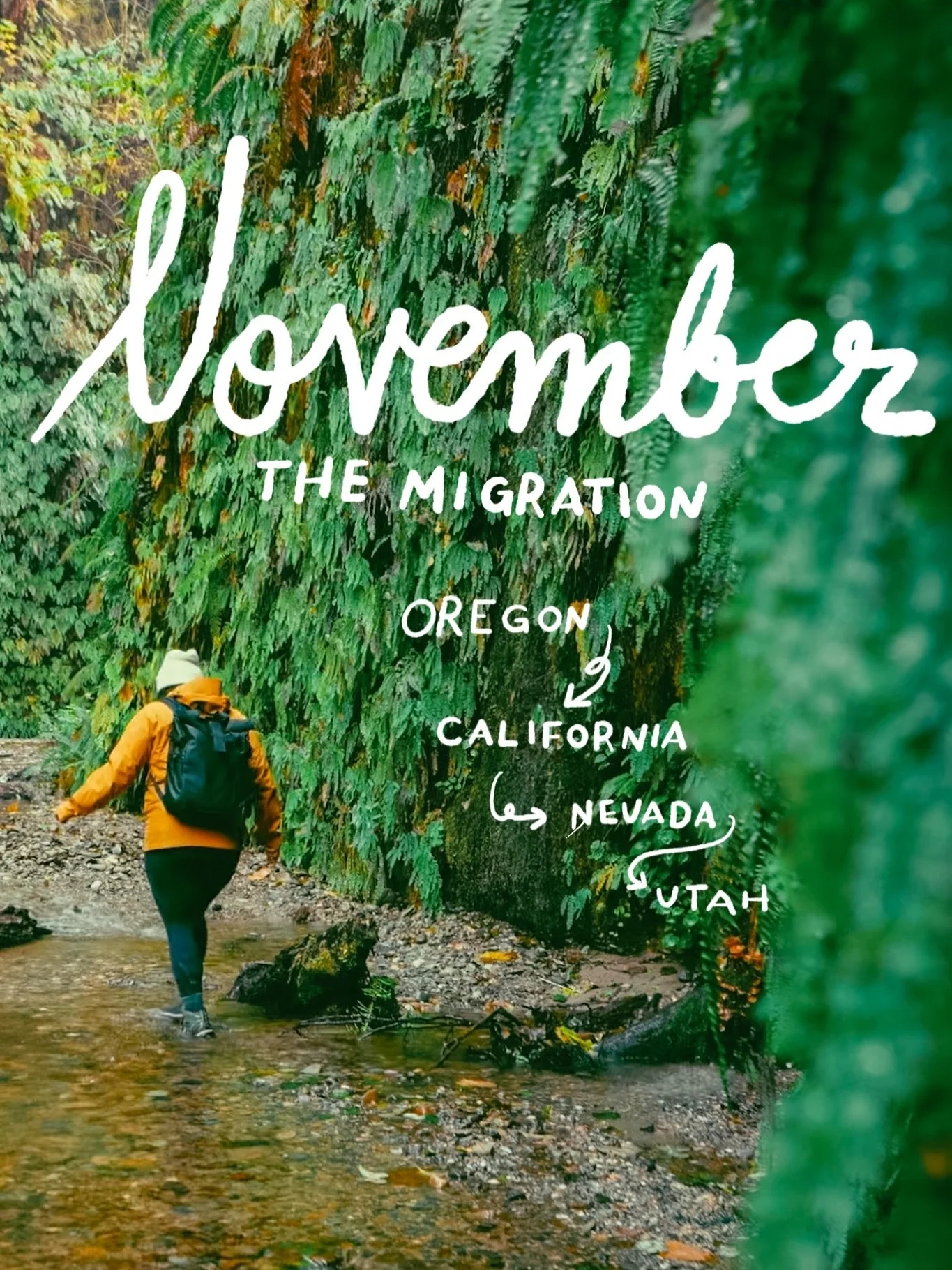 November 2025 recap: traveling down the Oregon coast avoiding the atmospheric rivers and trying not to get swept away in king tides. 🌲🌊

#nomadiclife #oregoncoast #redwoods #roamwild #solotravel