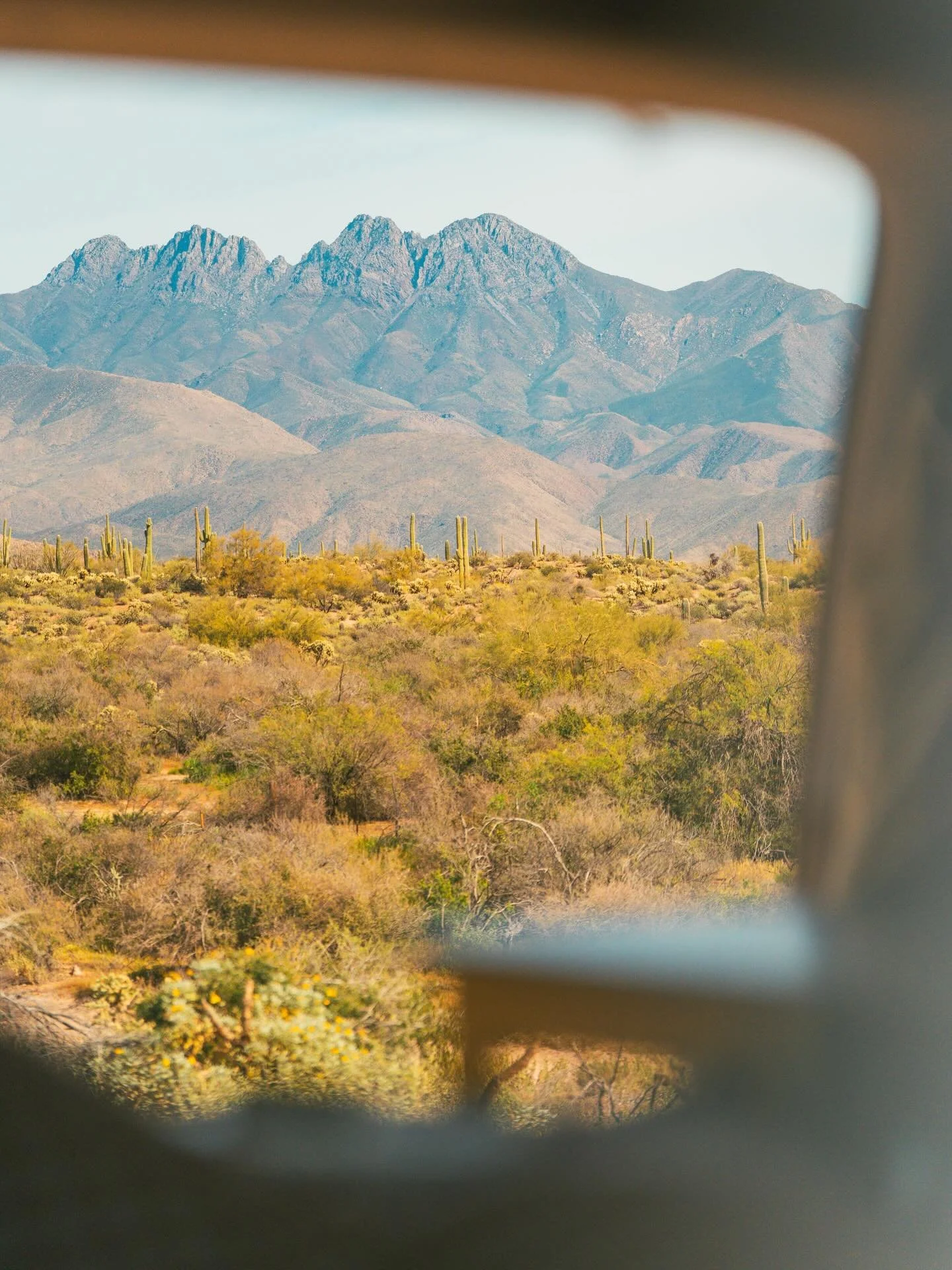 It&rsquo;s been a busy start to the year but now im out here, it&rsquo;s raining in the desert, flowers are blooming and I&rsquo;m settling back into my routine 🌵💕🌼 

#nomadiclife #arizona #sheexplores #outside