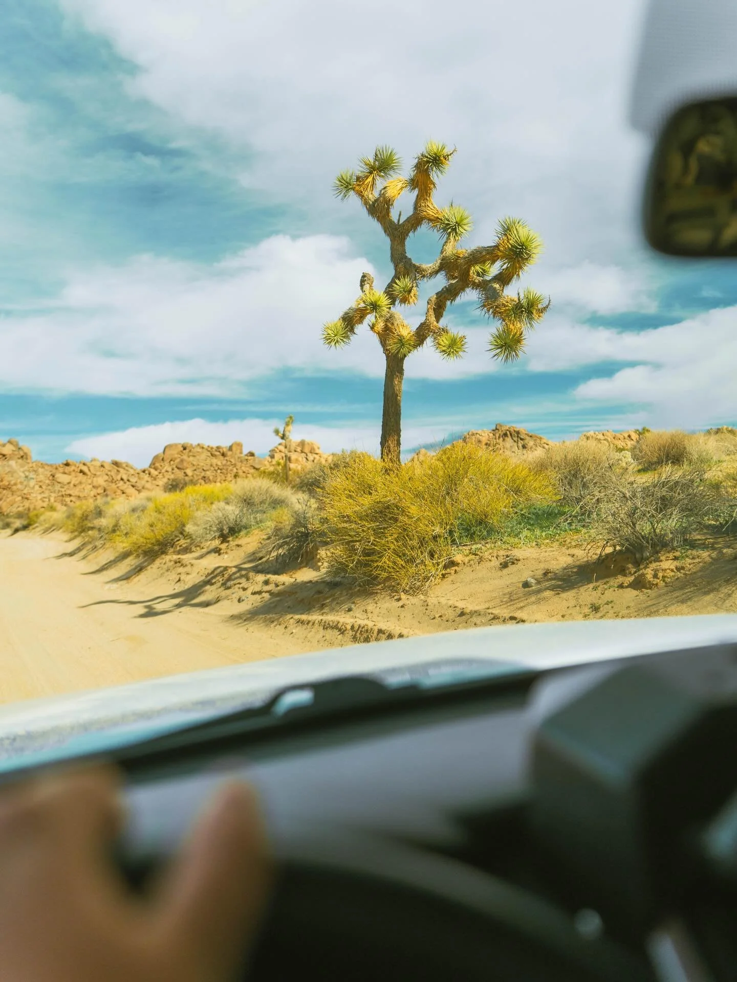Bits from a few days spent around Joshua Tree NP in January. Honestly not my favorite NP because Yucca Trees feature prominently in a lot of places around the southwest. The Mojave National Preserve is maybe to most impressive for me, but still a fun