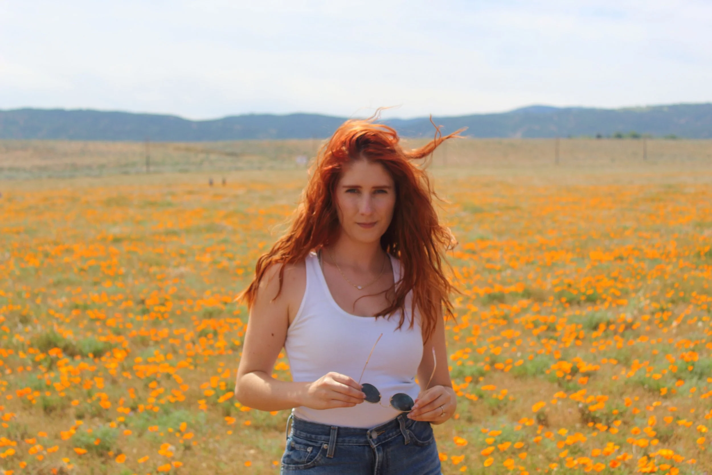 poppies.jpg