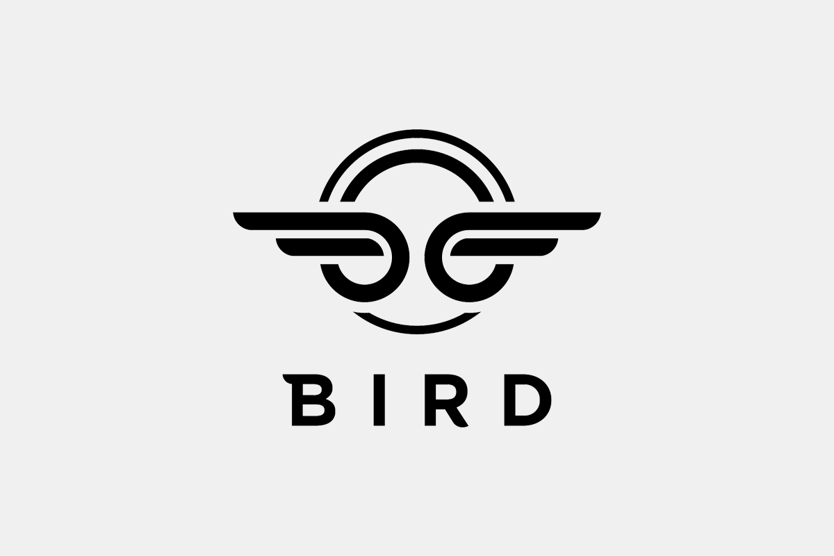 bird.png