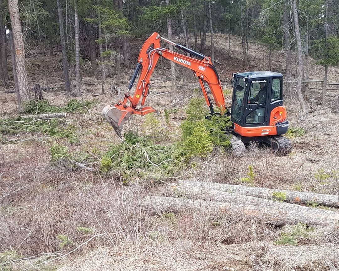 Today we're doing a large acreage cleanup! Wind took down a ton of trees.