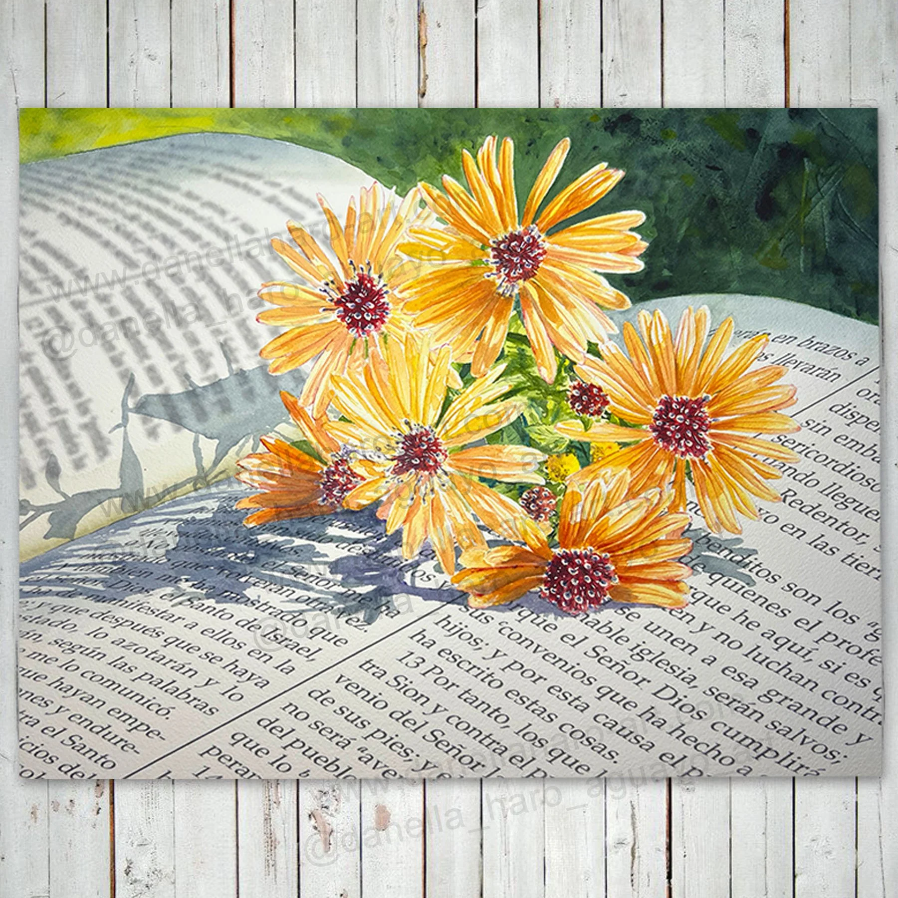 DHA-Perennials-Display6.jpg