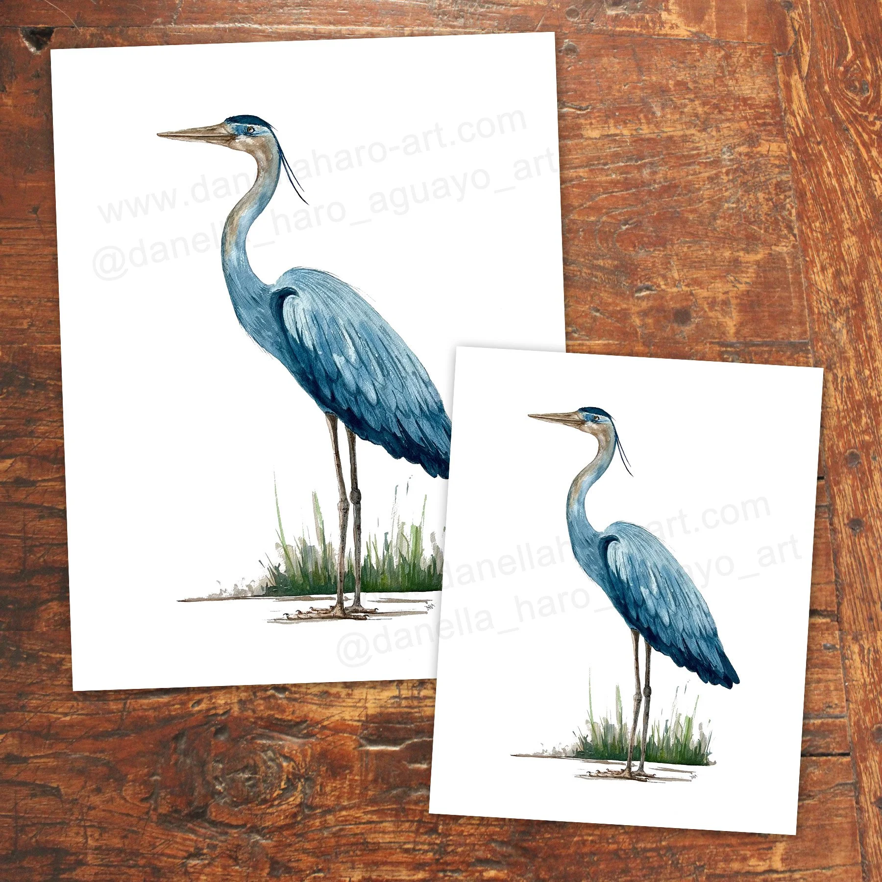 Heron-DHA_StandingTall7.jpg