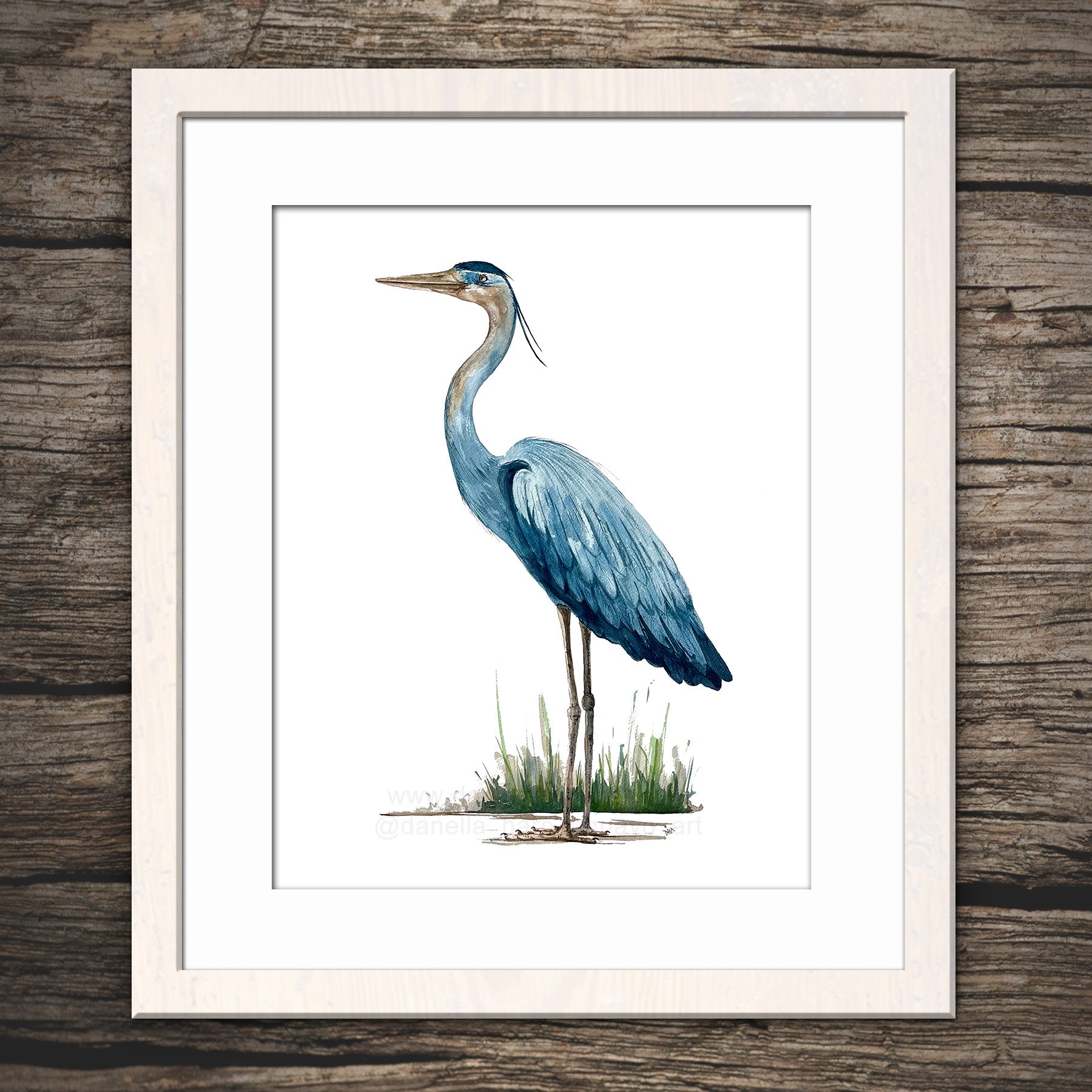 Heron-DHA_StandingTall6.jpg