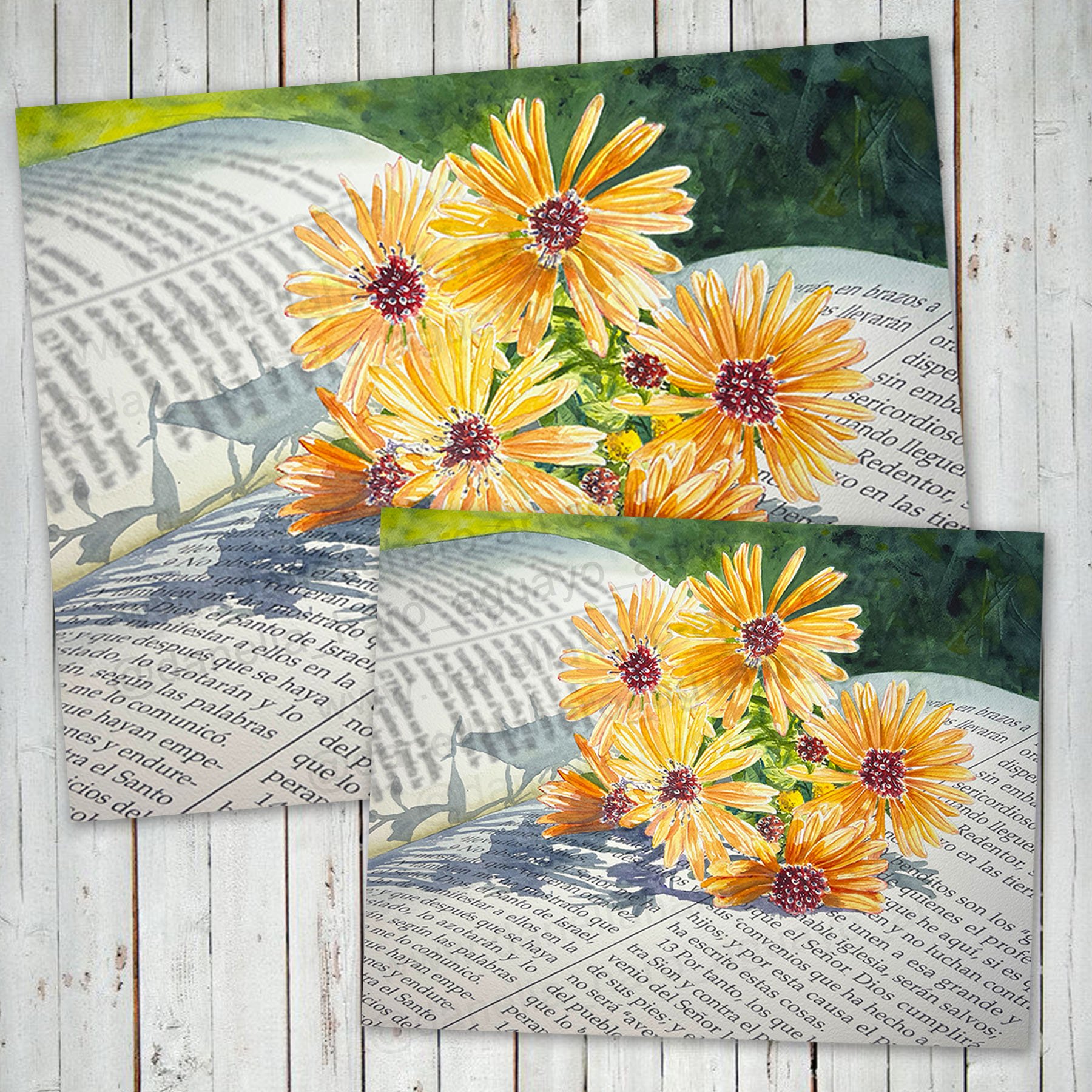 DHA-Perennials-Display2.jpg