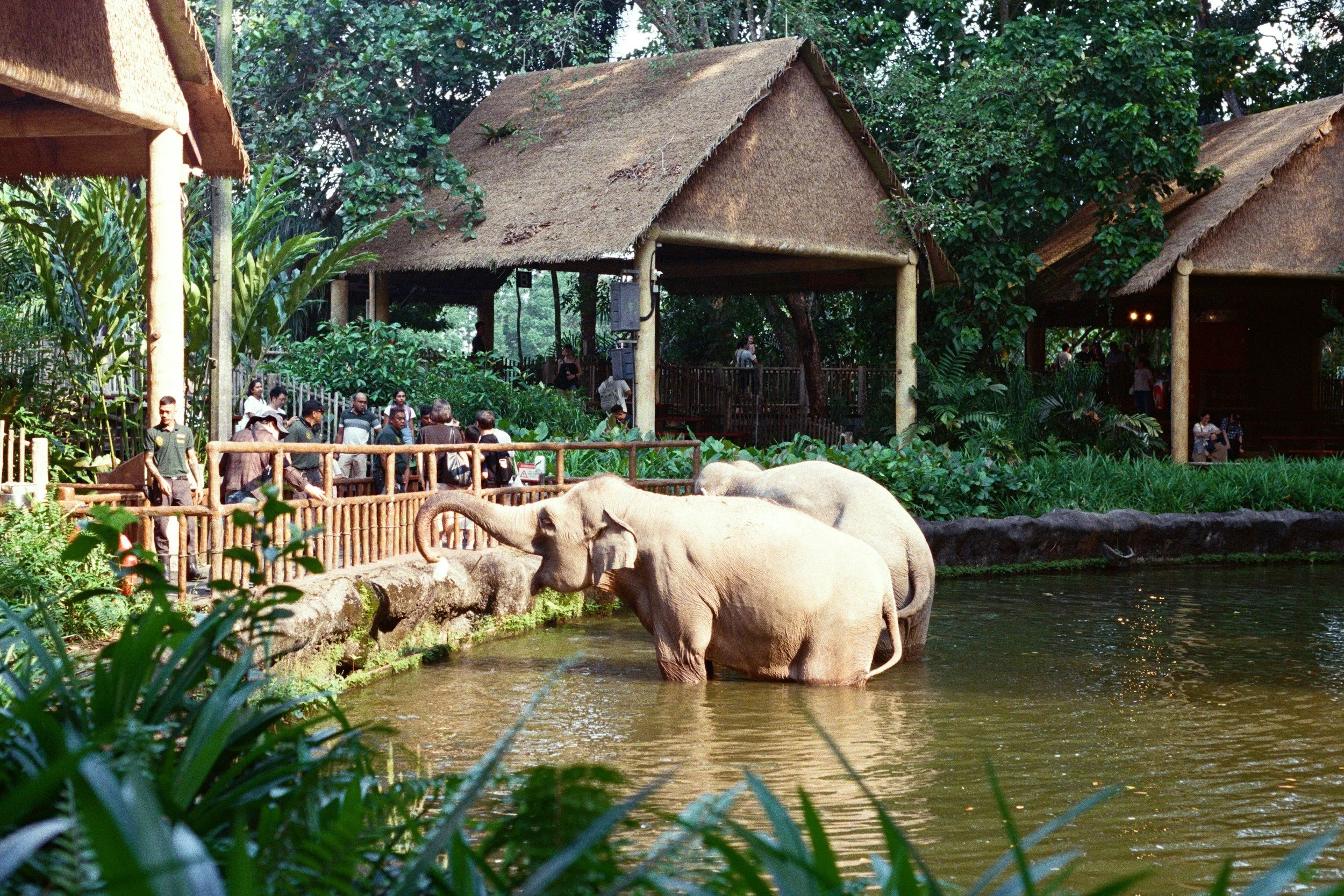 hotel america africa safari