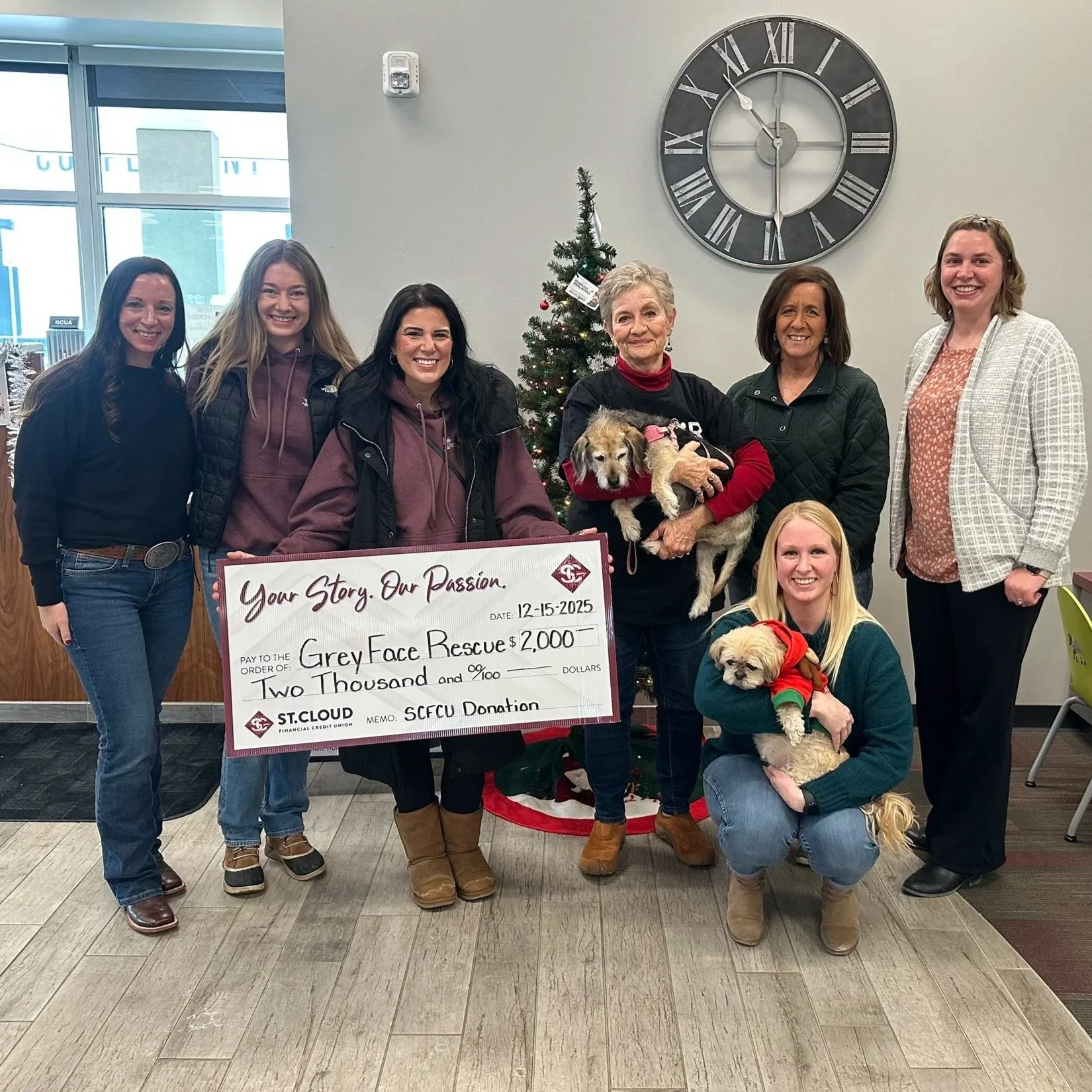 Making a Meaningful Difference —&nbsp;Grey Face Rescue &amp; Retirement