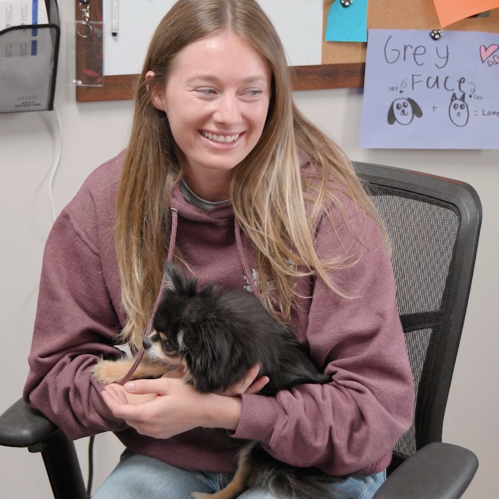 Your Story. Our Passion. —&nbsp;Grey Face Rescue &amp; Retirement