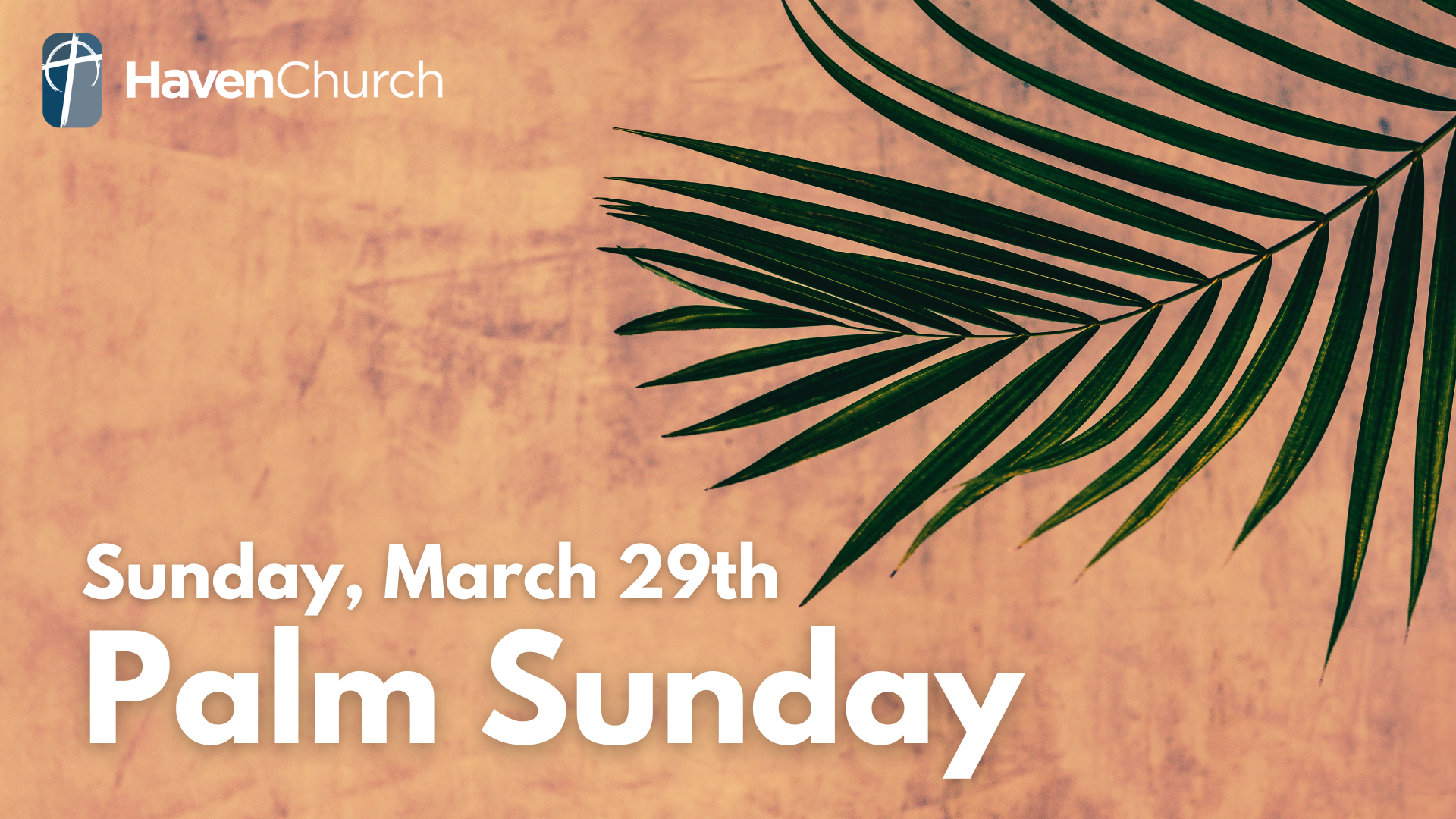 Palm Sunday (Haven Kids)