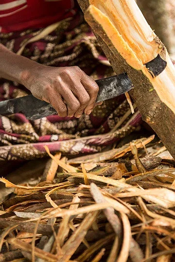 These Two Uncommon Scents Were Created Through Upcycling