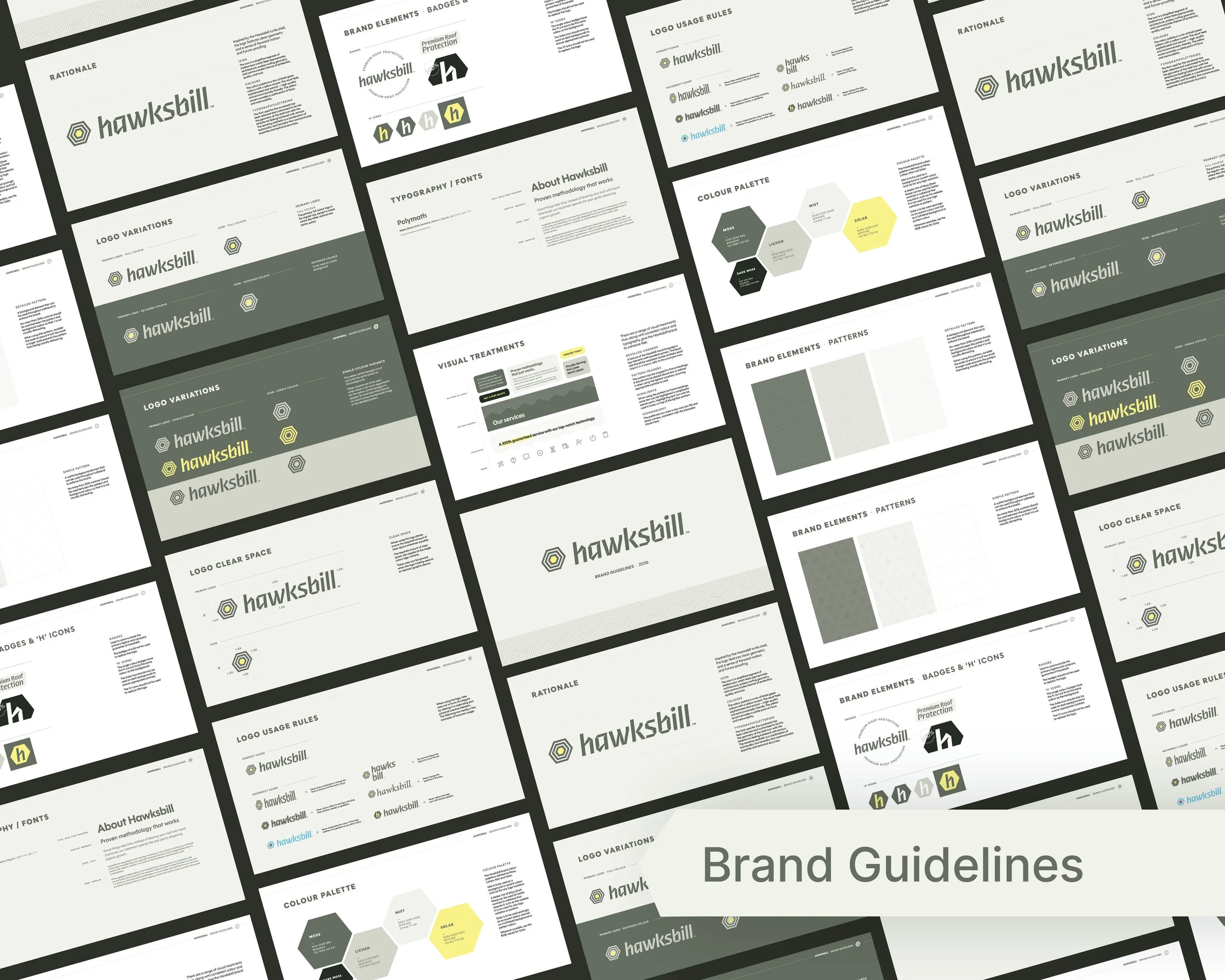 Hawksbill Brand guidelines and identity build from the ground up