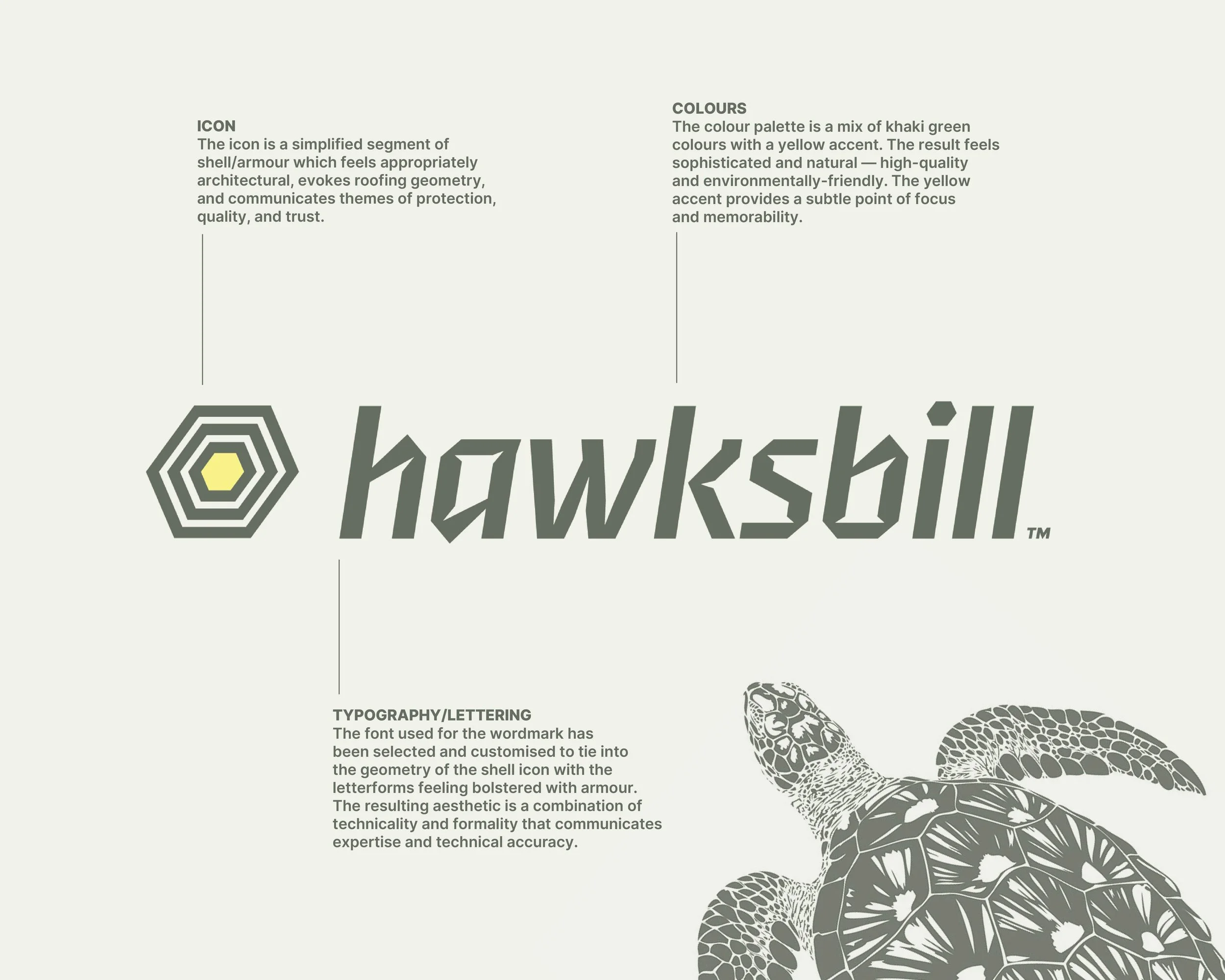 Hawksbill Roof Cleaning Logo and Branding breakdown