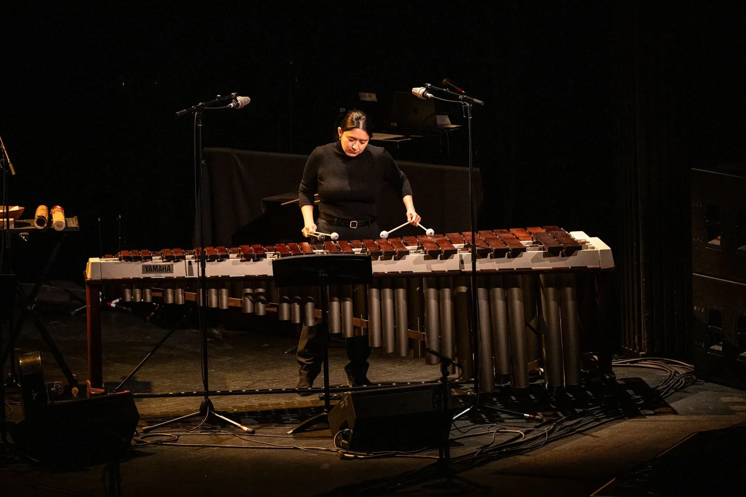 In many ways he has changed it (World Premiere), Lorena Navarro and Michigan State University Percussion Ensemble