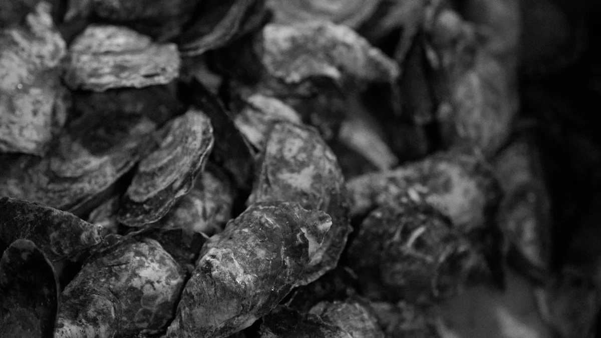 Holy Ground: The Oyster (world premiere