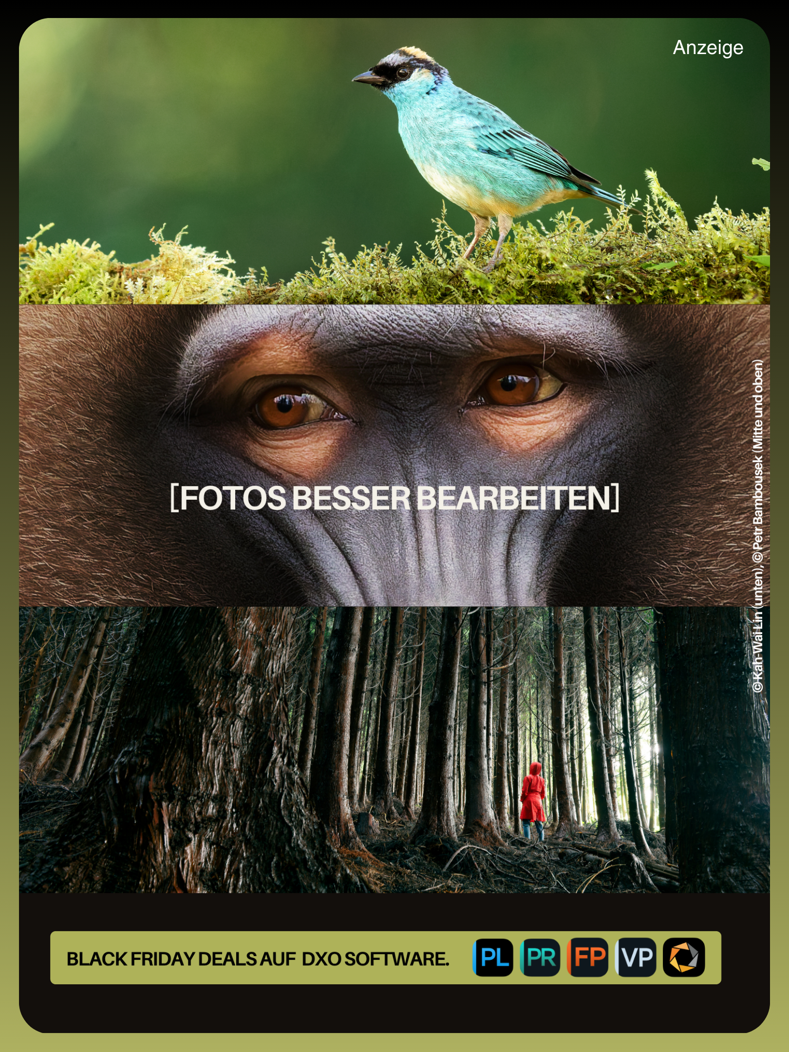 Anzeige DxO Black Friday 2025 Naturfotografie Deutschland.png