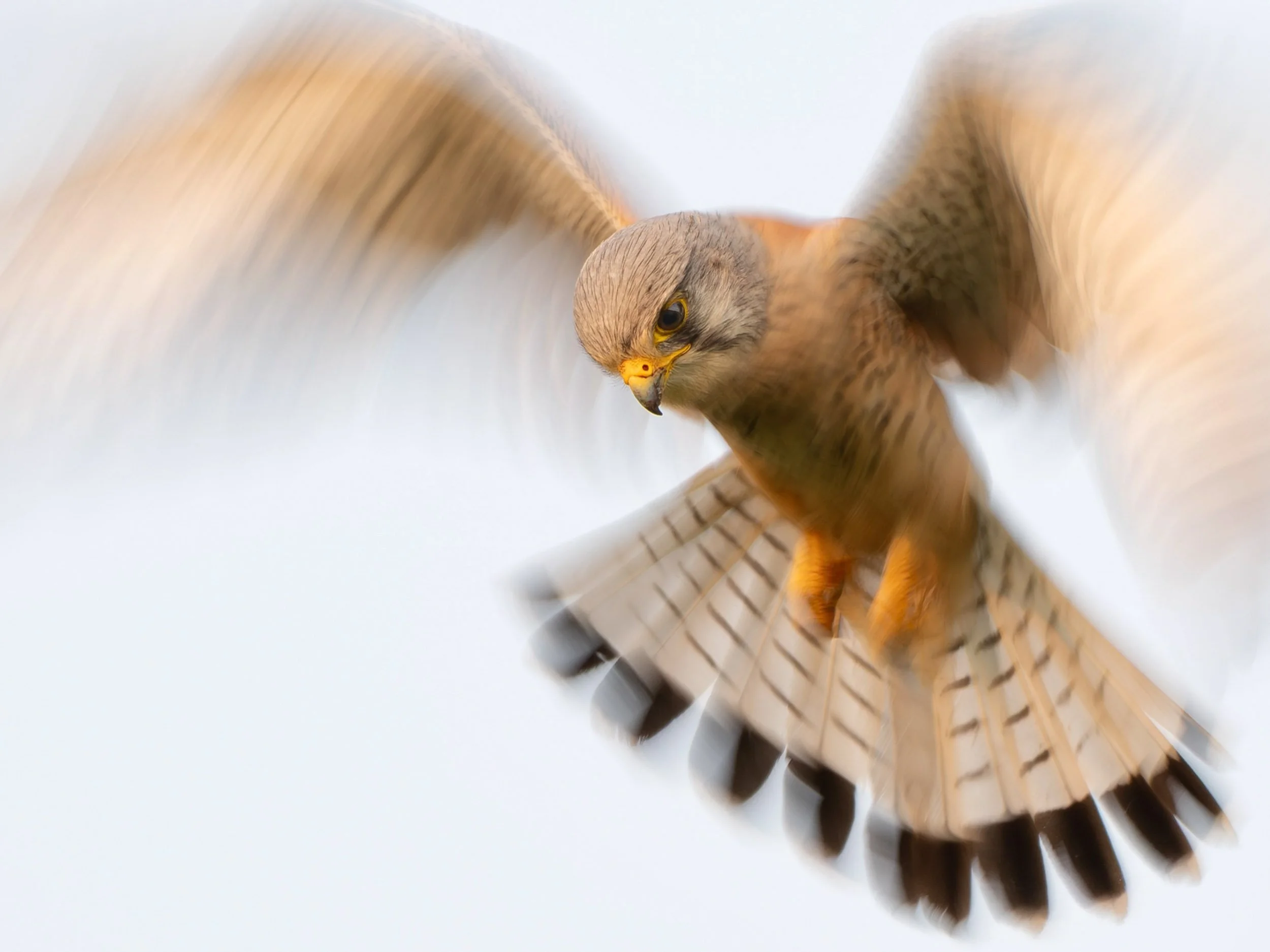        &nbsp;        










































  

    
  
     

      

      
         
          
        
        

        
          
             
               Im Vollbildmodus anzeigen 
              
           
         