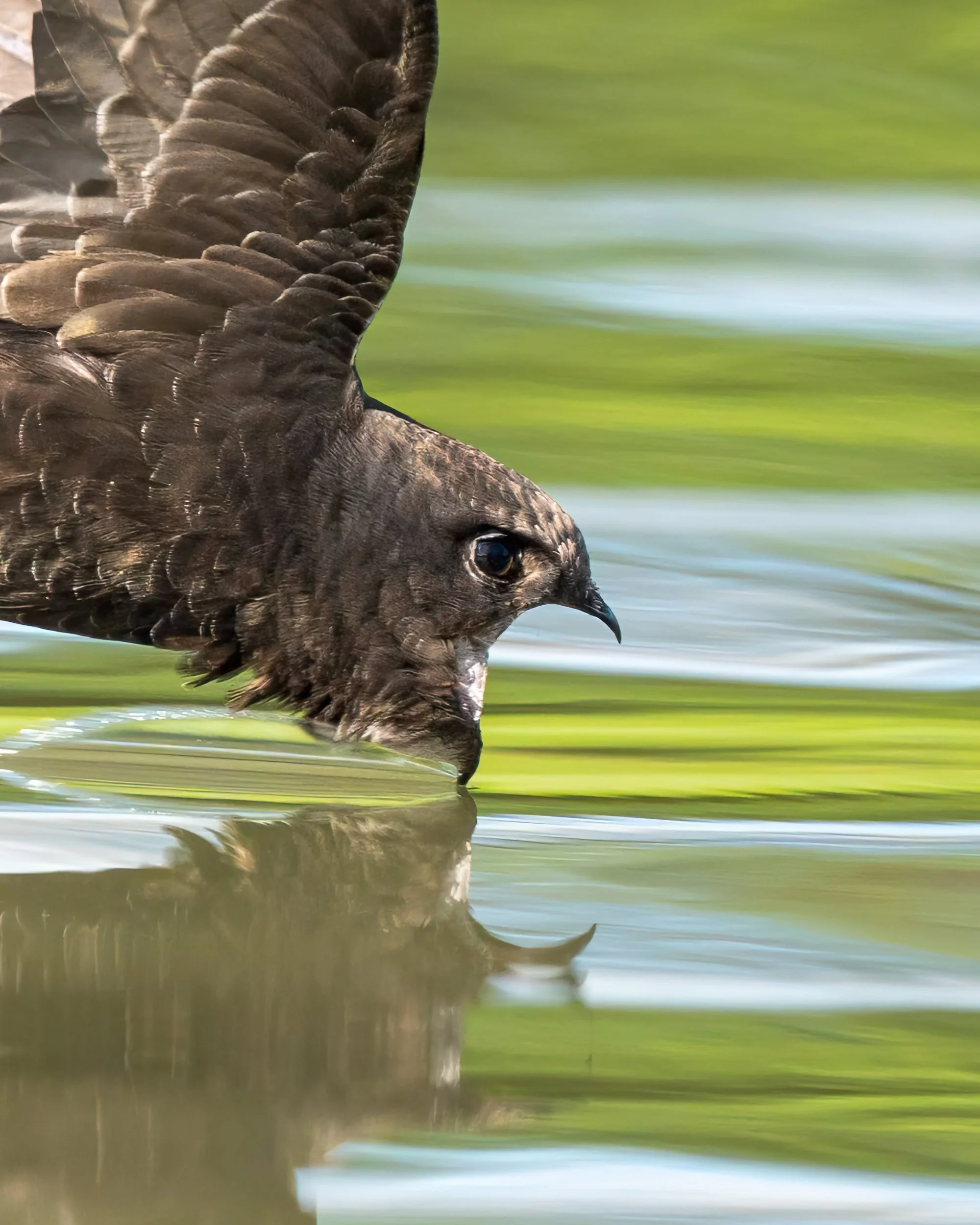        &nbsp;        










































  

    
  
     

      

      
         
          
        
        

        
          
             
               Im Vollbildmodus anzeigen 
              
           
         
