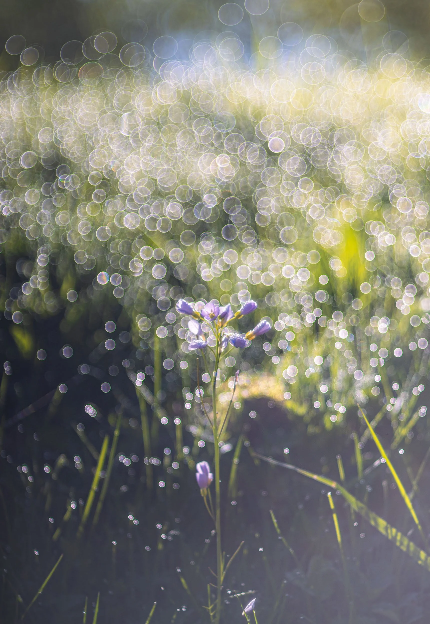        &nbsp;        










































  

    
  
     

      

      
         
          
        
        

        
          
             
               Im Vollbildmodus anzeigen 
              
           
         
