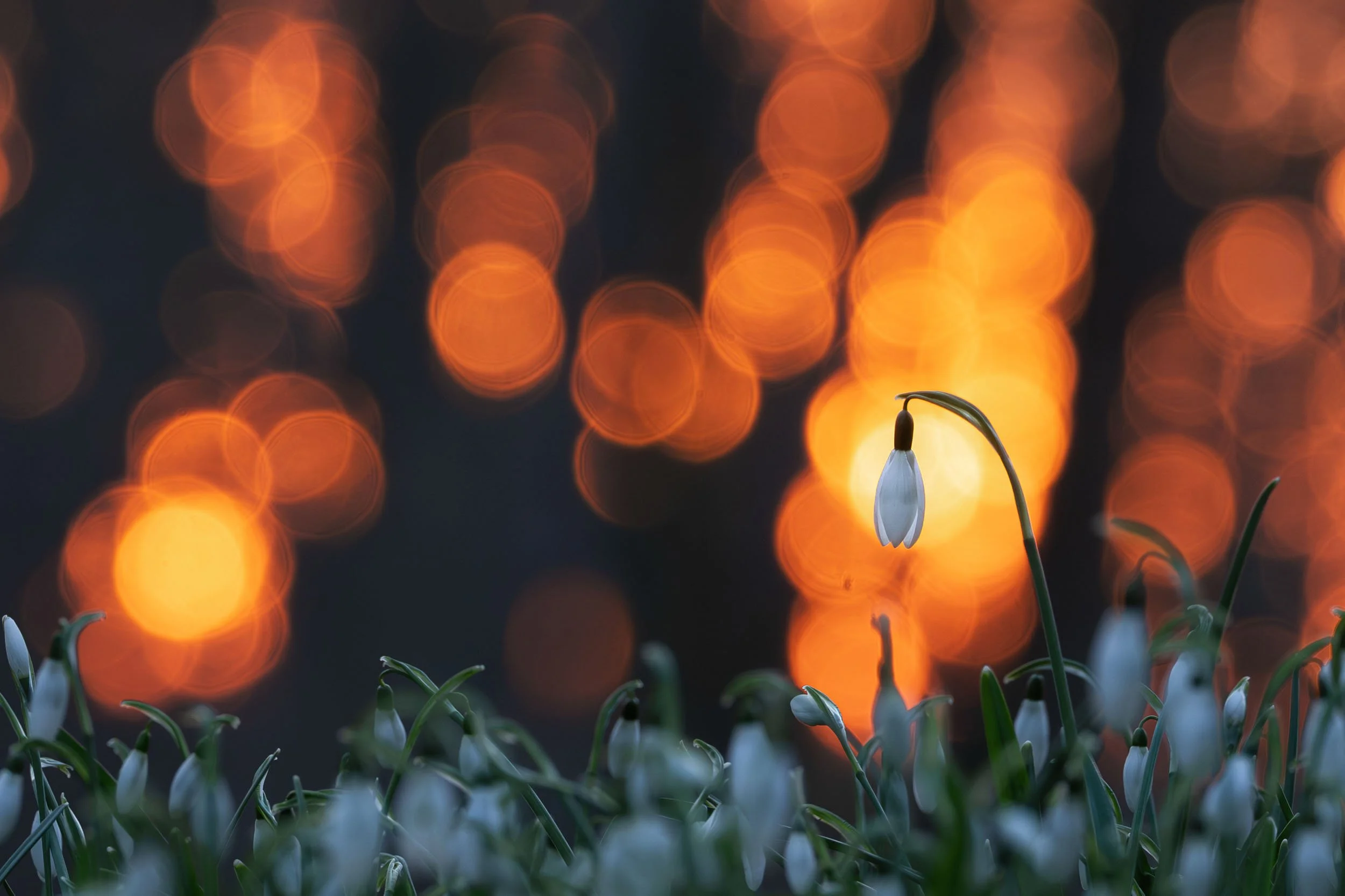        &nbsp;        










































  

    
  
     

      

      
         
          
        
        

        
          
             
               Im Vollbildmodus anzeigen 
              
           
         