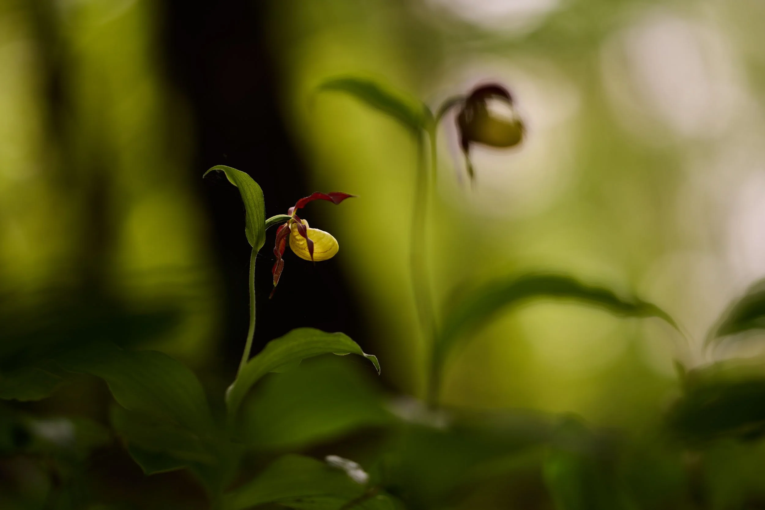        &nbsp;        










































  

    
  
     

      

      
         
          
        
        

        
          
             
               Im Vollbildmodus anzeigen 
              
           
         