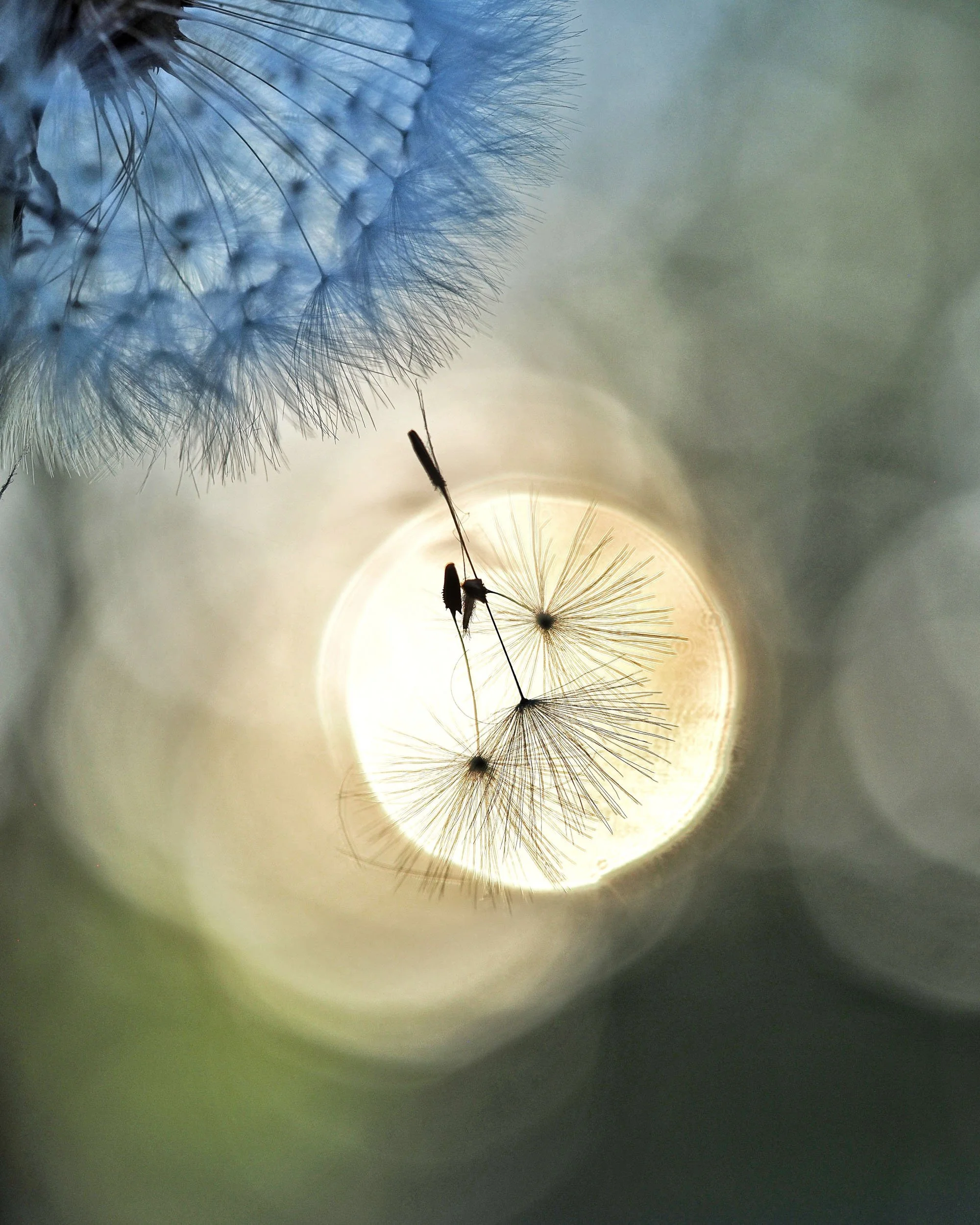        &nbsp;        










































  

    
  
     

      

      
         
          
        
        

        
          
             
               Im Vollbildmodus anzeigen 
              
           
         