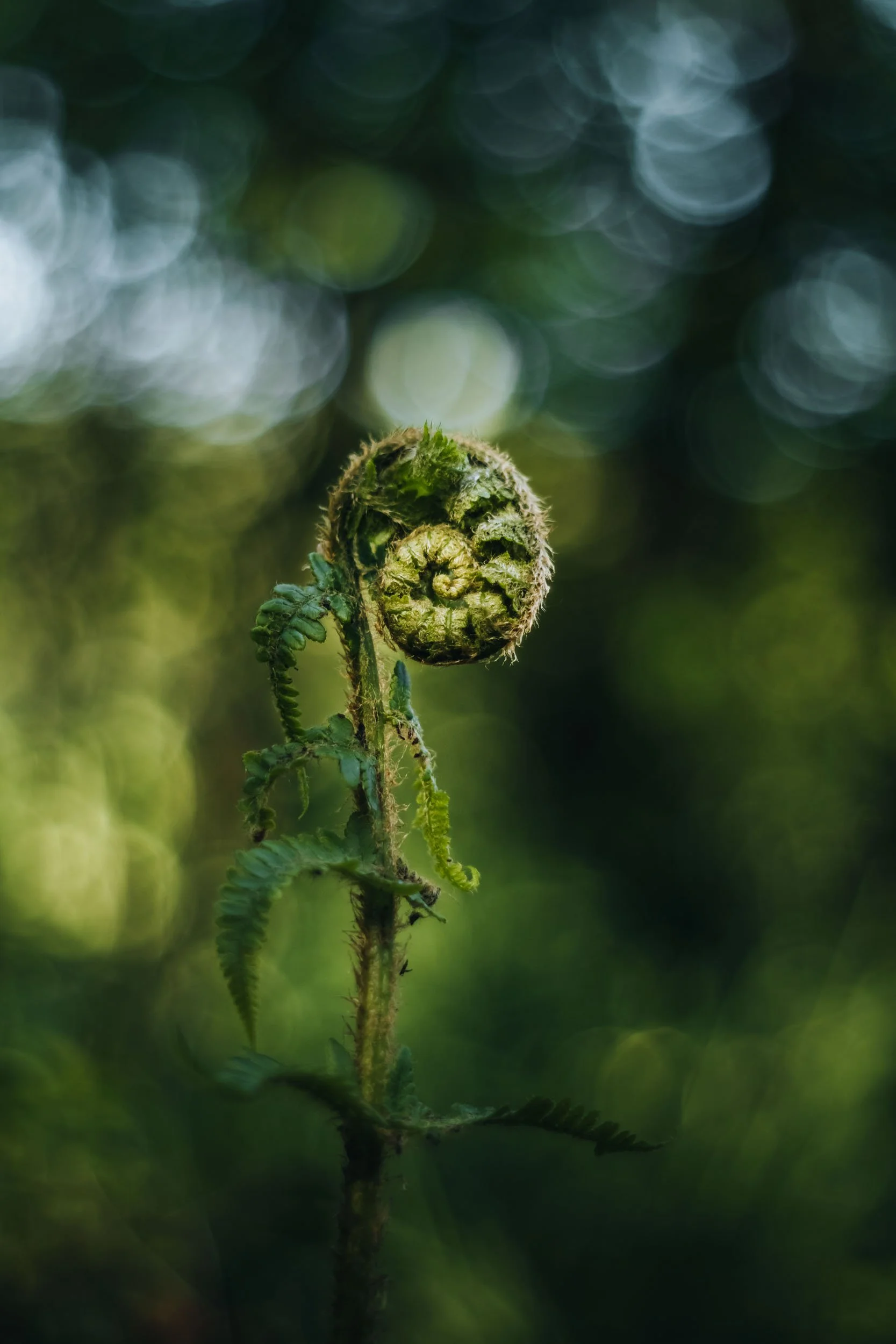        &nbsp;        










































  

    
  
     

      

      
         
          
        
        

        
          
             
               Im Vollbildmodus anzeigen 
              
           
         