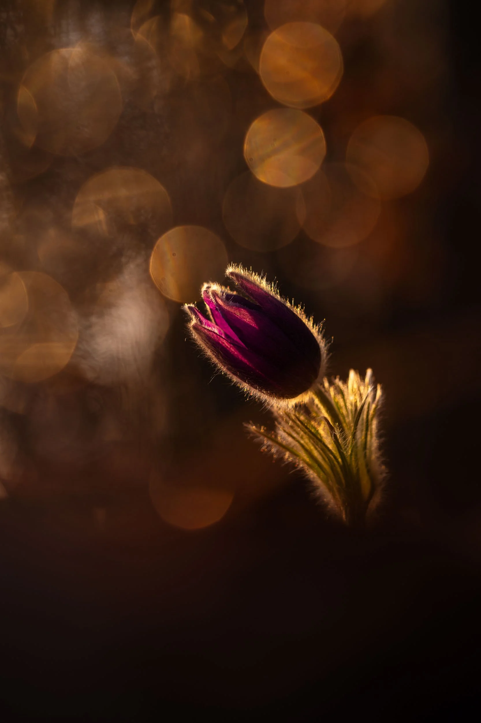        &nbsp;        










































  

    
  
     

      

      
         
          
        
        

        
          
             
               Im Vollbildmodus anzeigen 
              
           
         