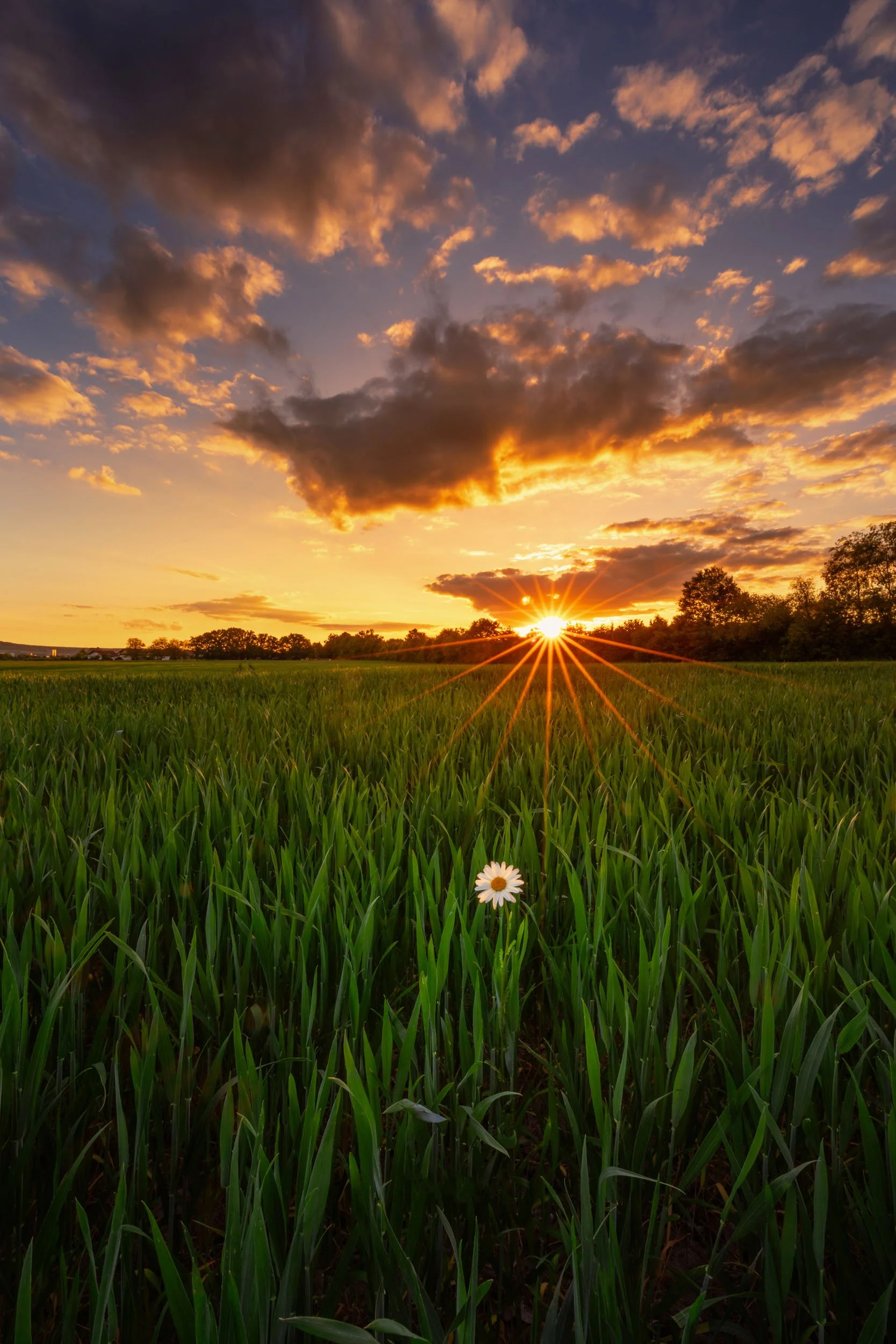        &nbsp;        










































  

    
  
     

      

      
         
          
        
        

        
          
             
               Im Vollbildmodus anzeigen 
              
           
         
