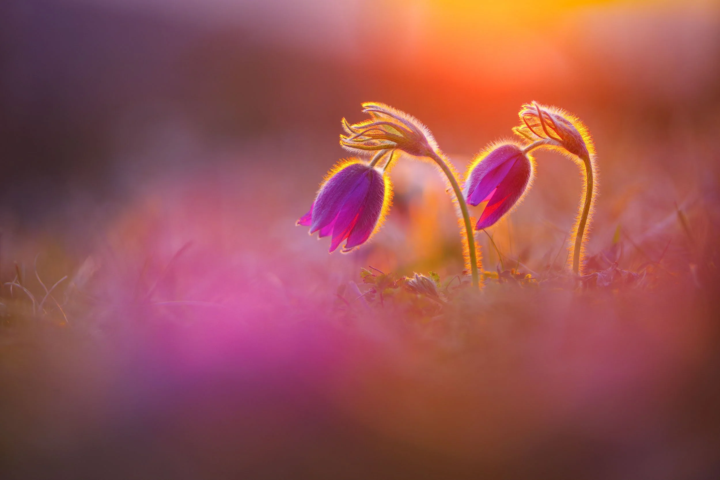        &nbsp;        










































  

    
  
     

      

      
         
          
        
        

        
          
             
               Im Vollbildmodus anzeigen 
              
           
         