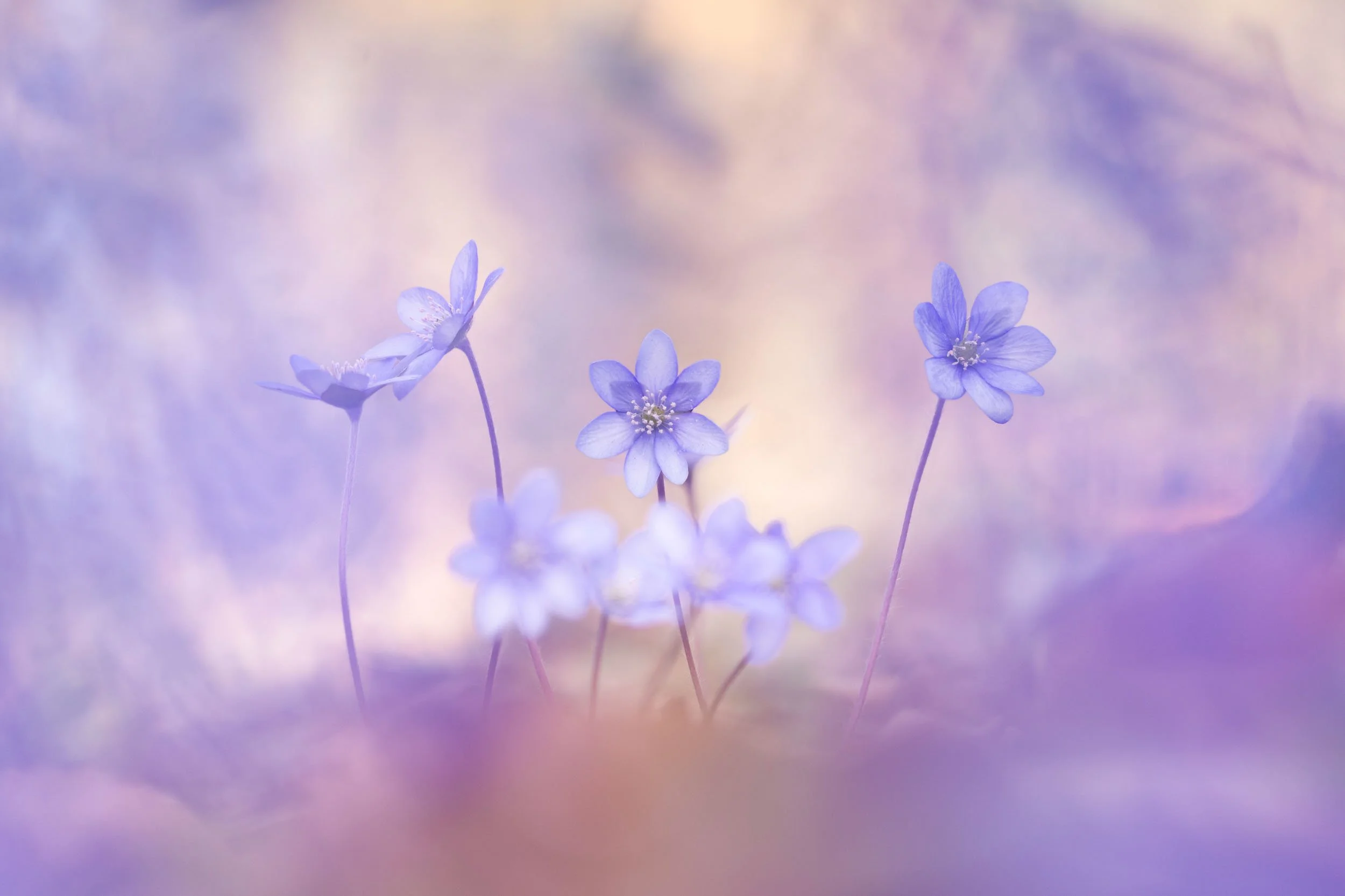        &nbsp;        










































  

    
  
     

      

      
         
          
        
        

        
          
             
               Im Vollbildmodus anzeigen 
              
           
         