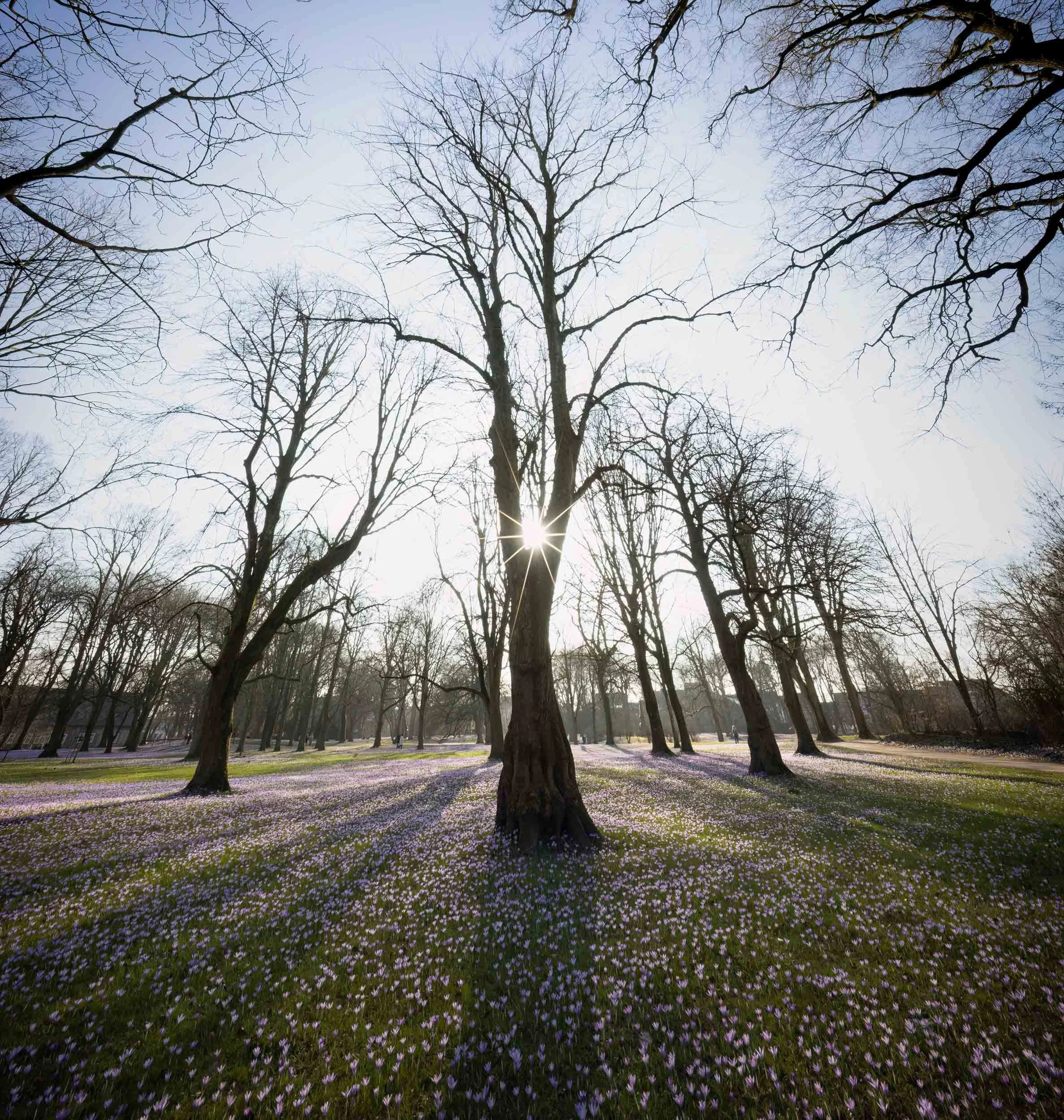        &nbsp;        










































  

    
  
     

      

      
         
          
        
        

        
          
             
               Im Vollbildmodus anzeigen 
              
           
         