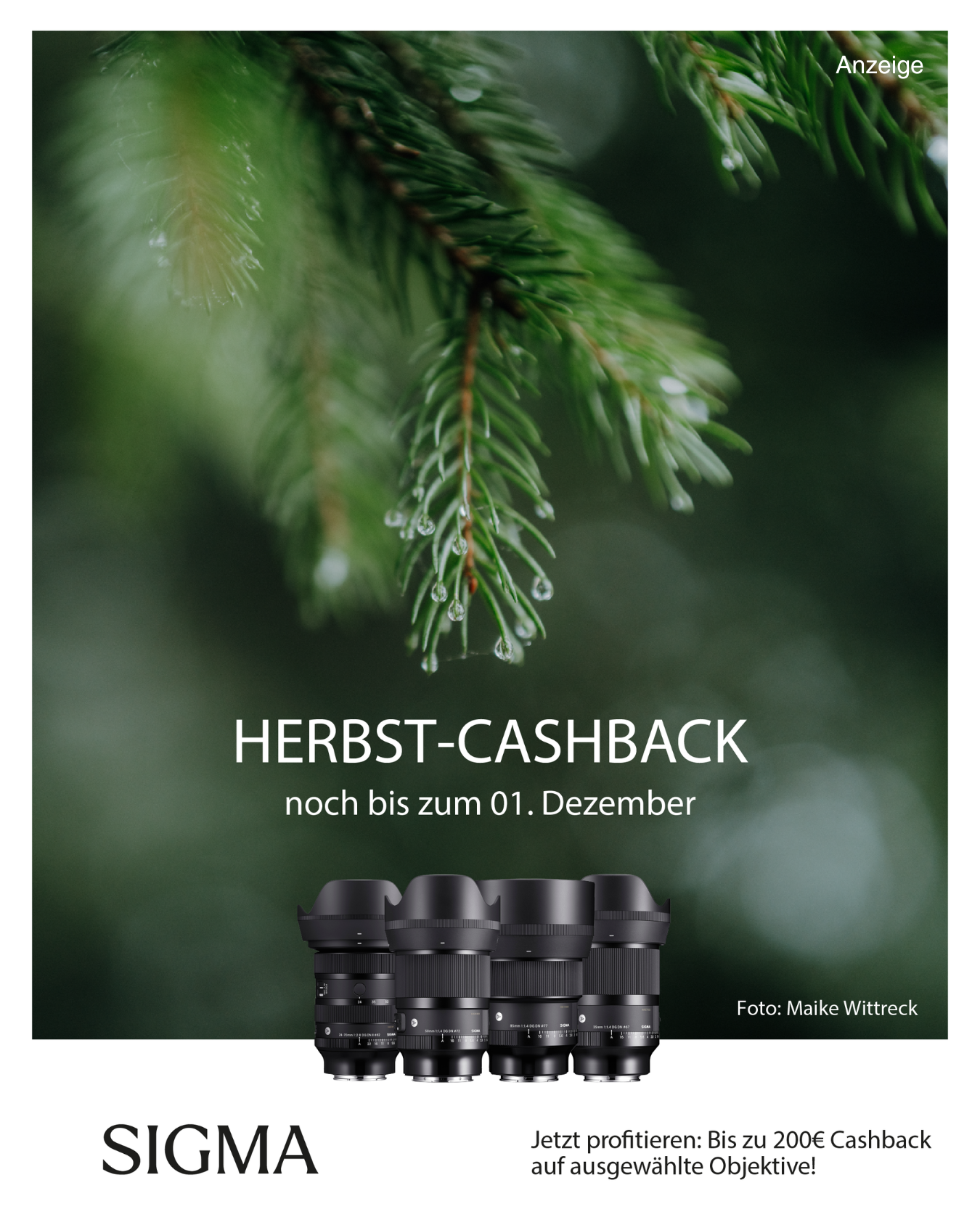 Anzeige SIGMA Herbst Cashback 2025 Naturfotografie Deutschland.png
