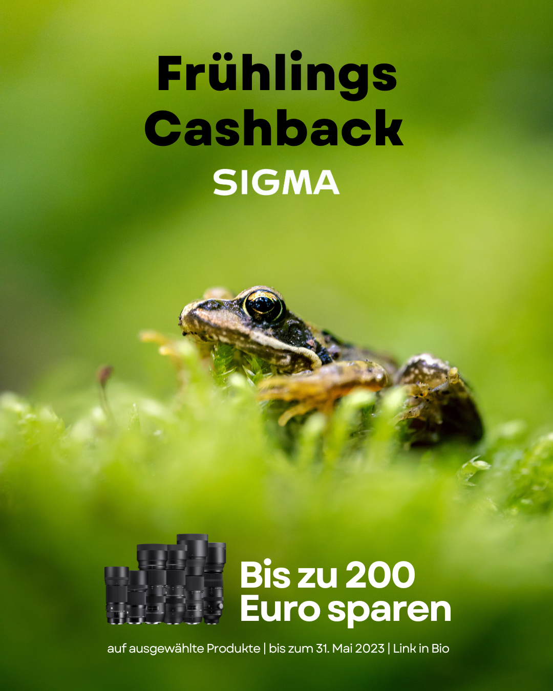 SIGMA Frühlings Cashback 2023.png