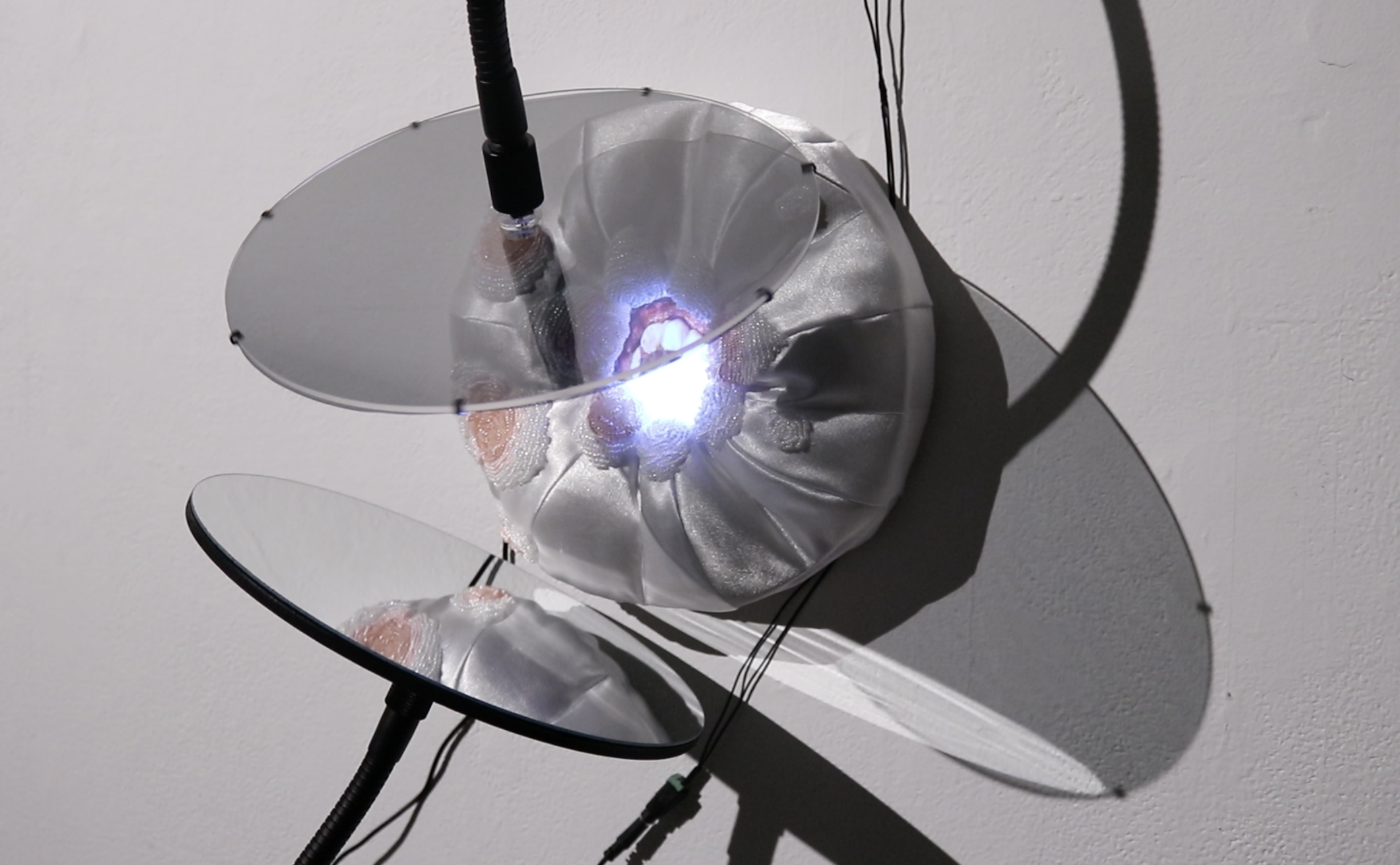 Inspection of a Mangosteen