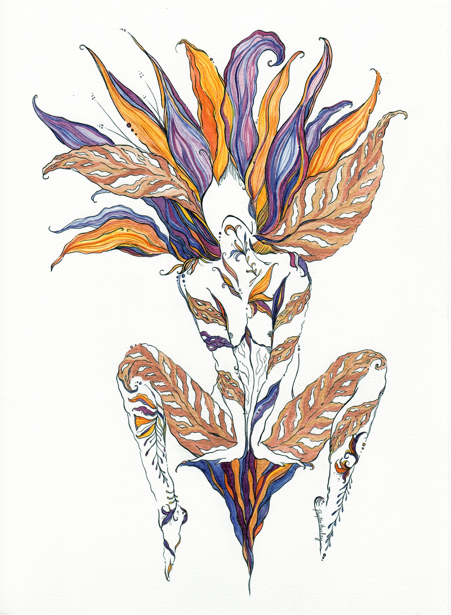 The Wildflower Woman