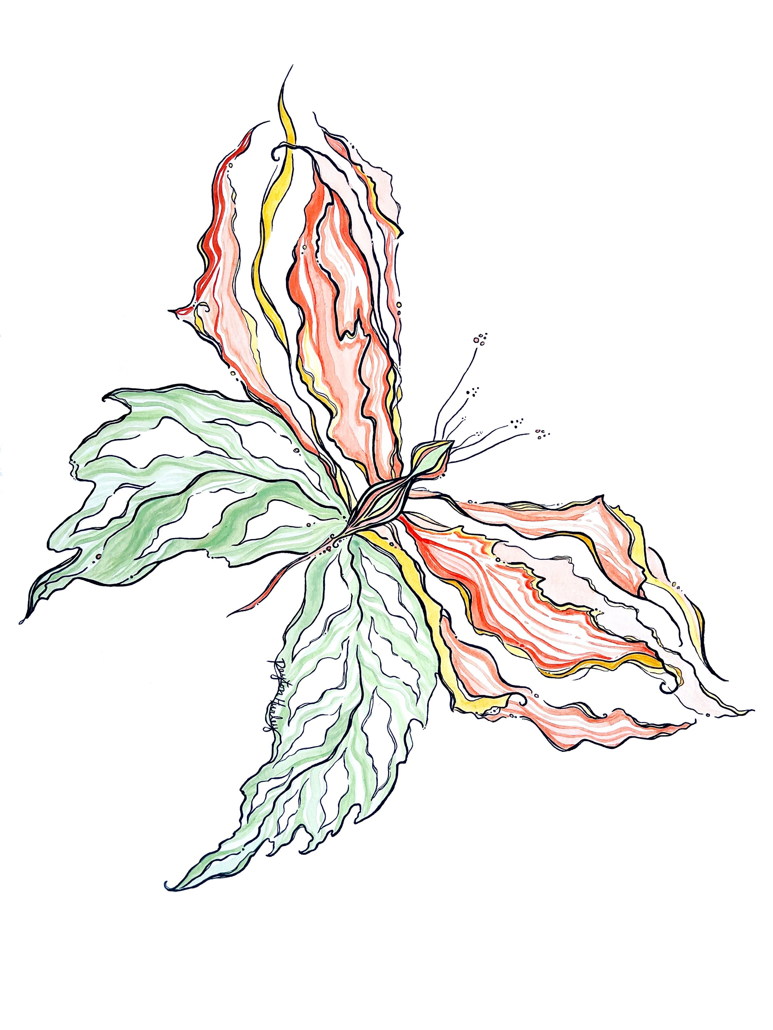 The Botanical Butterfly